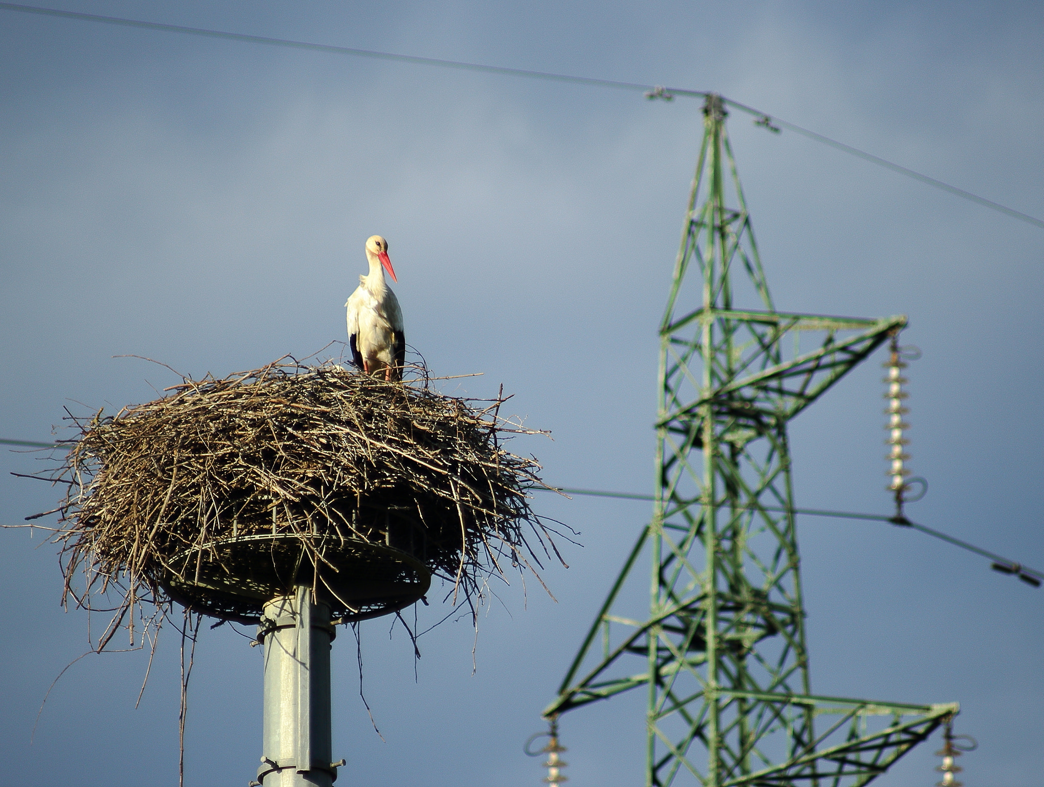 Canon EF 70-210mm f/4 sample photo. Img photography