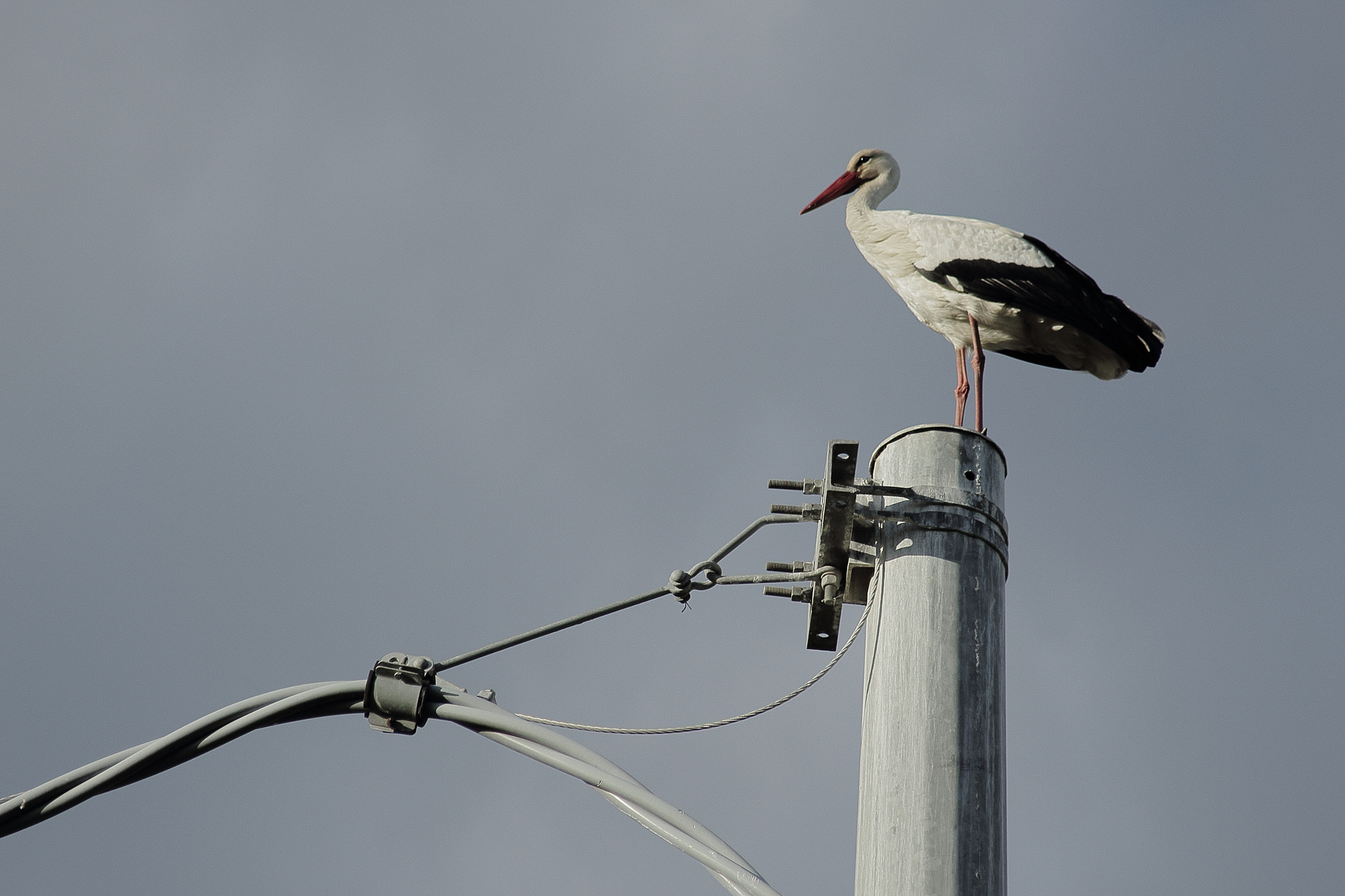 Canon EF 70-210mm f/4 sample photo. Img photography