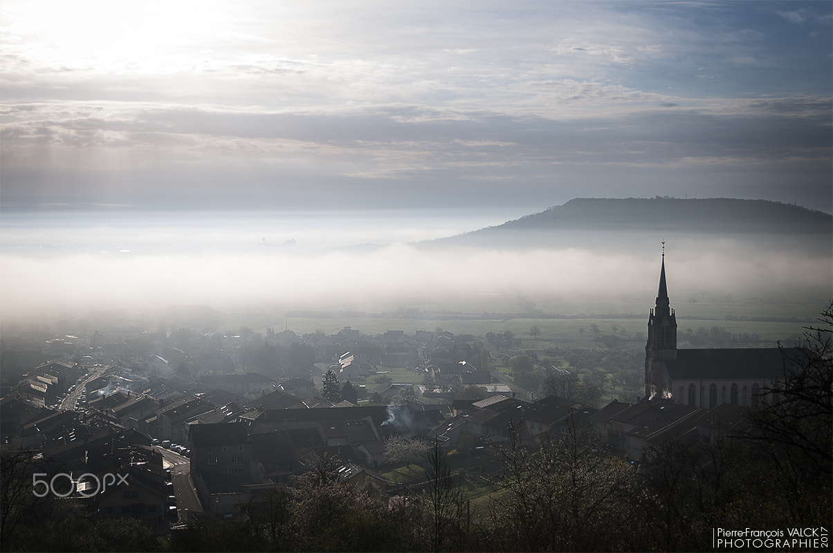Nikon D300S sample photo. Morning mist on bruley, lorraine, france photography