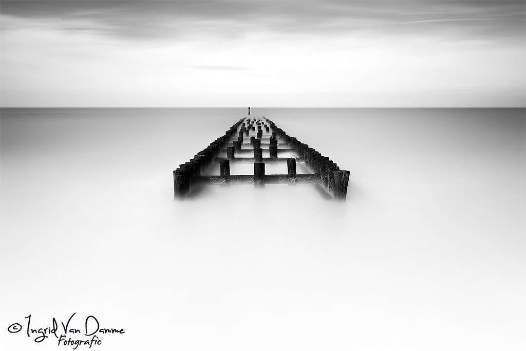 Canon EF 16-35mm F4L IS USM sample photo. Groynes photography