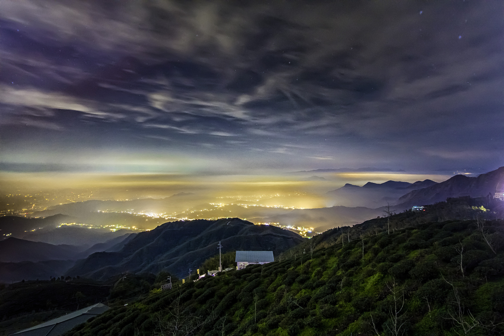 Canon EF-S 10-22mm F3.5-4.5 USM sample photo. Ginkgo forest night view photography