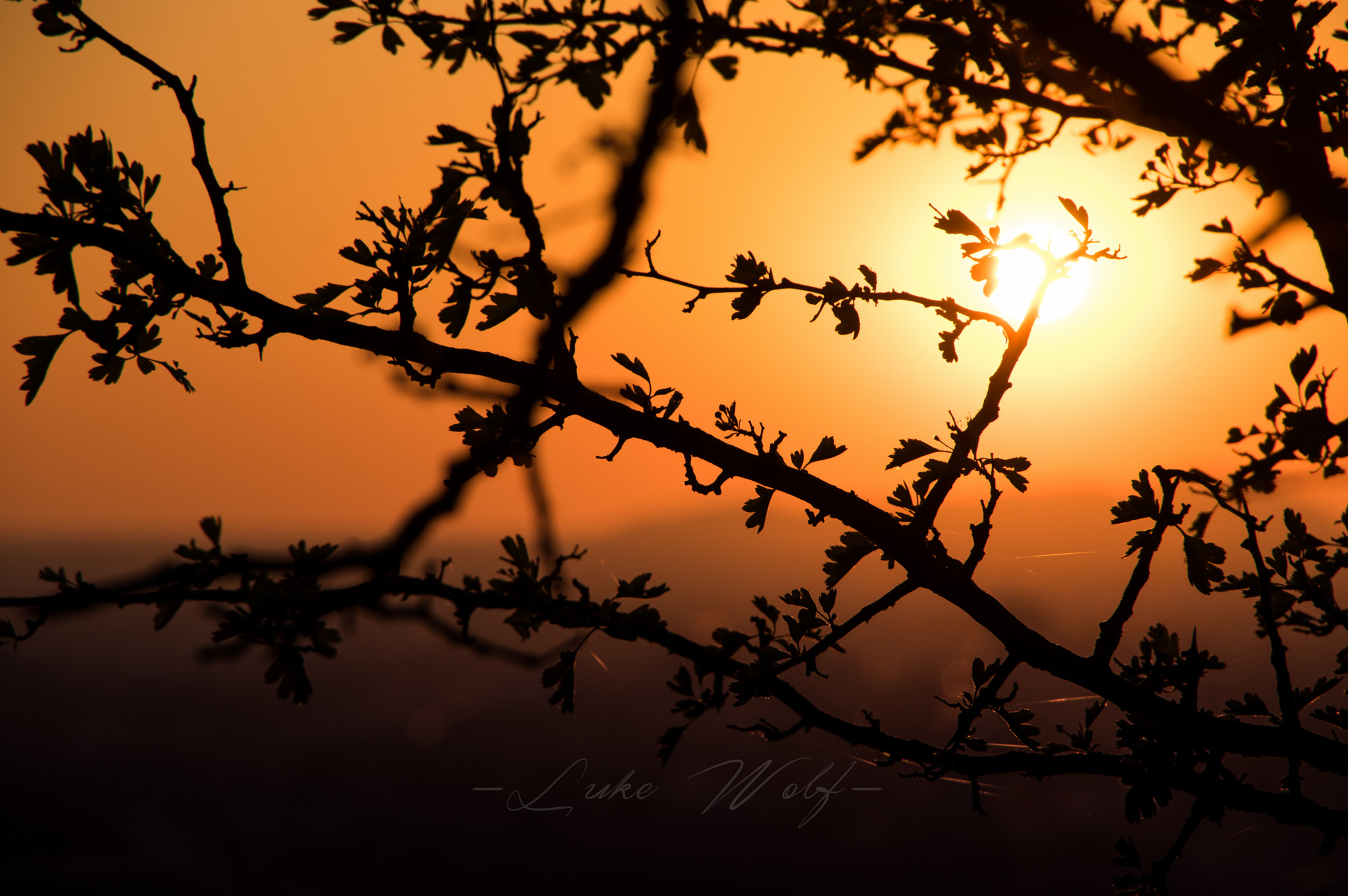 Pentax K-3 II sample photo. Lines and shadows photography