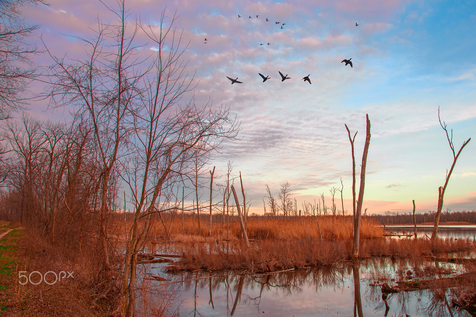 Canon EOS 5DS R sample photo. Sunset and ducks photography