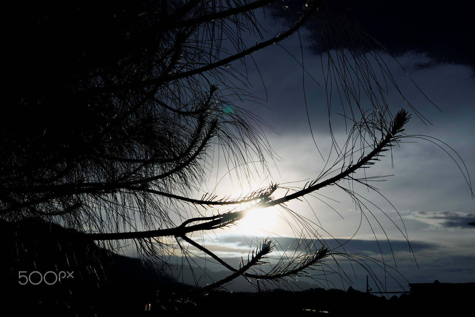 Panasonic Lumix DMC-G7 sample photo. Pino photography