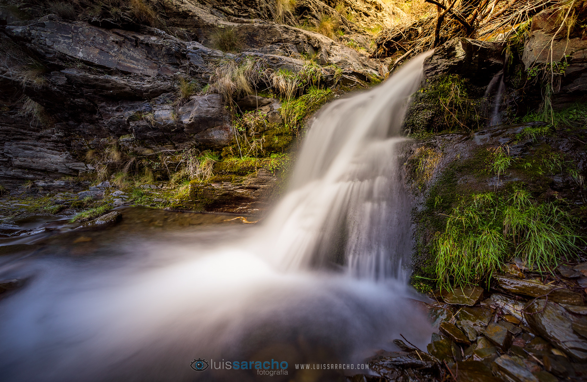 Nikon AF-S Nikkor 14-24mm F2.8G ED sample photo. Agua viva photography