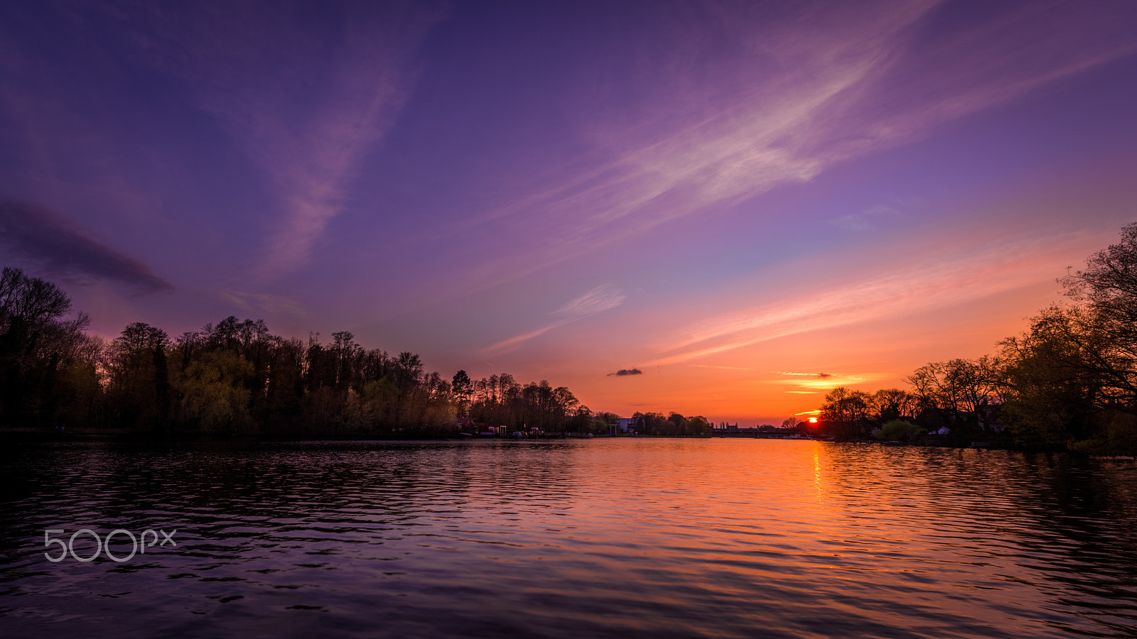 Nikon AF-S Nikkor 14-24mm F2.8G ED sample photo. Purple photography