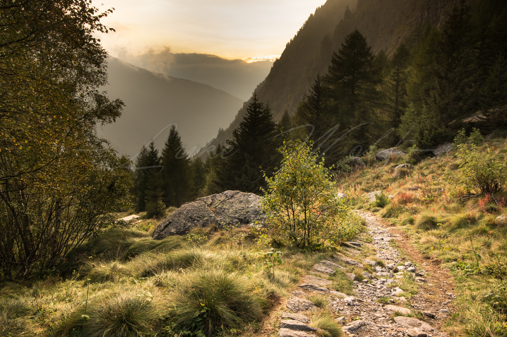 Pentax K-3 II sample photo. Forest in the italian alps photography