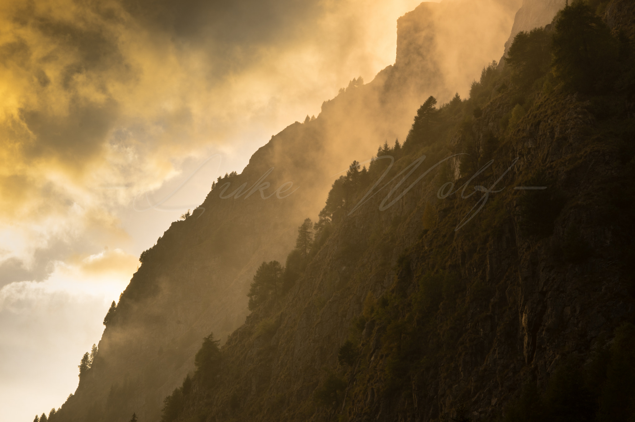 Pentax K-3 II sample photo. Mist on the forest photography
