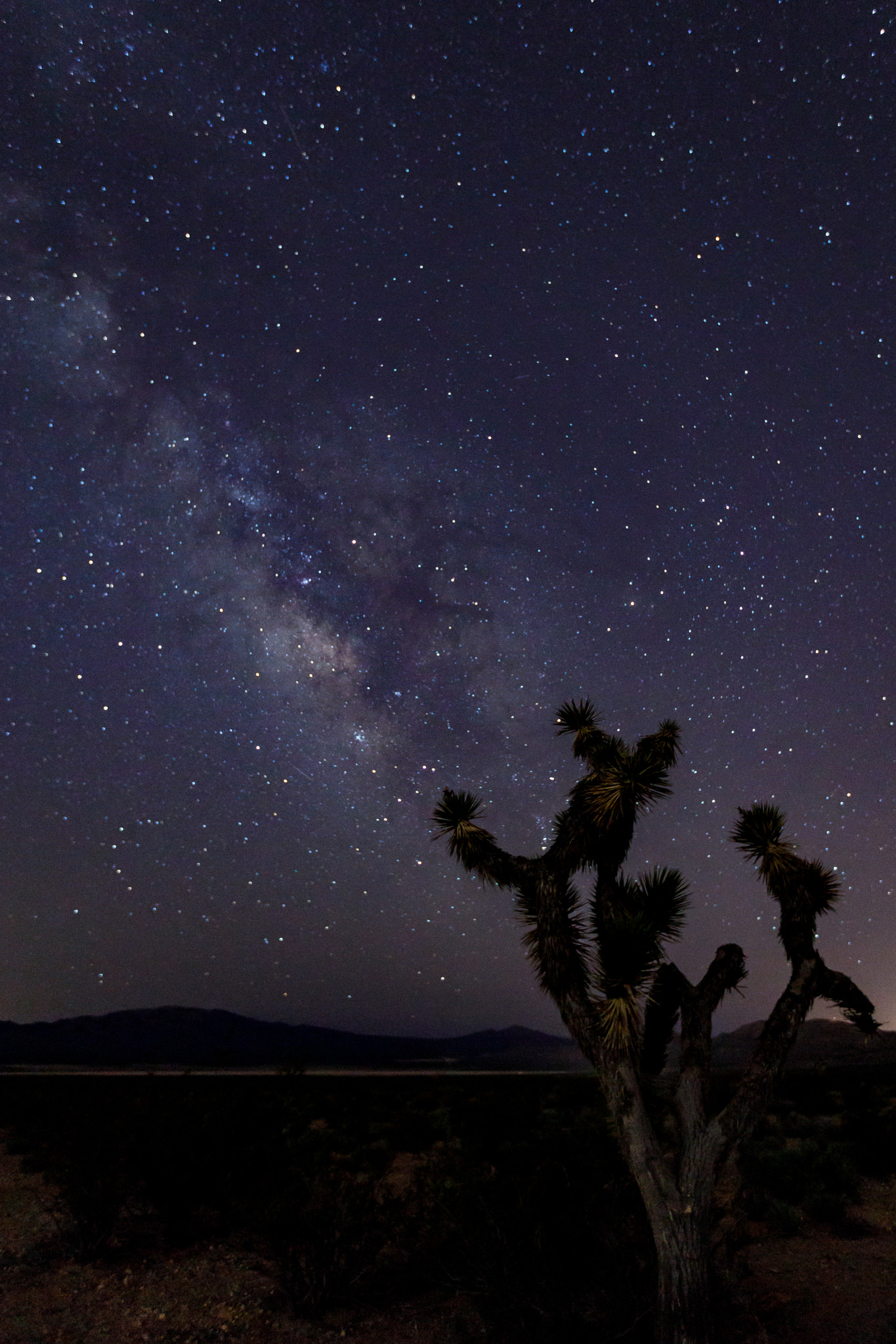 Canon EF 16-35mm F2.8L II USM sample photo. Celestial dance photography