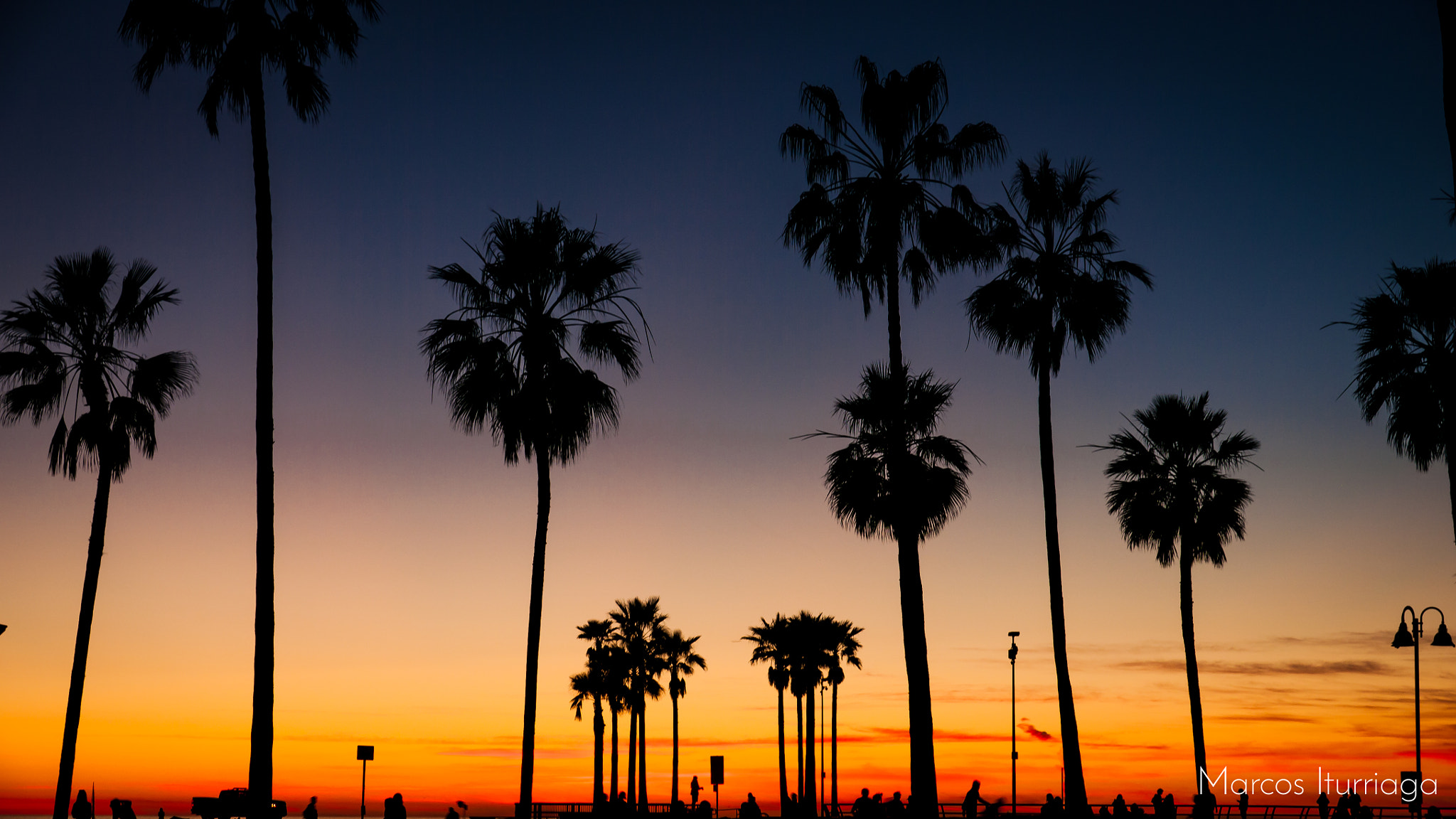 Panasonic Lumix DMC-GH1 sample photo. Palmtrees venice beach photography