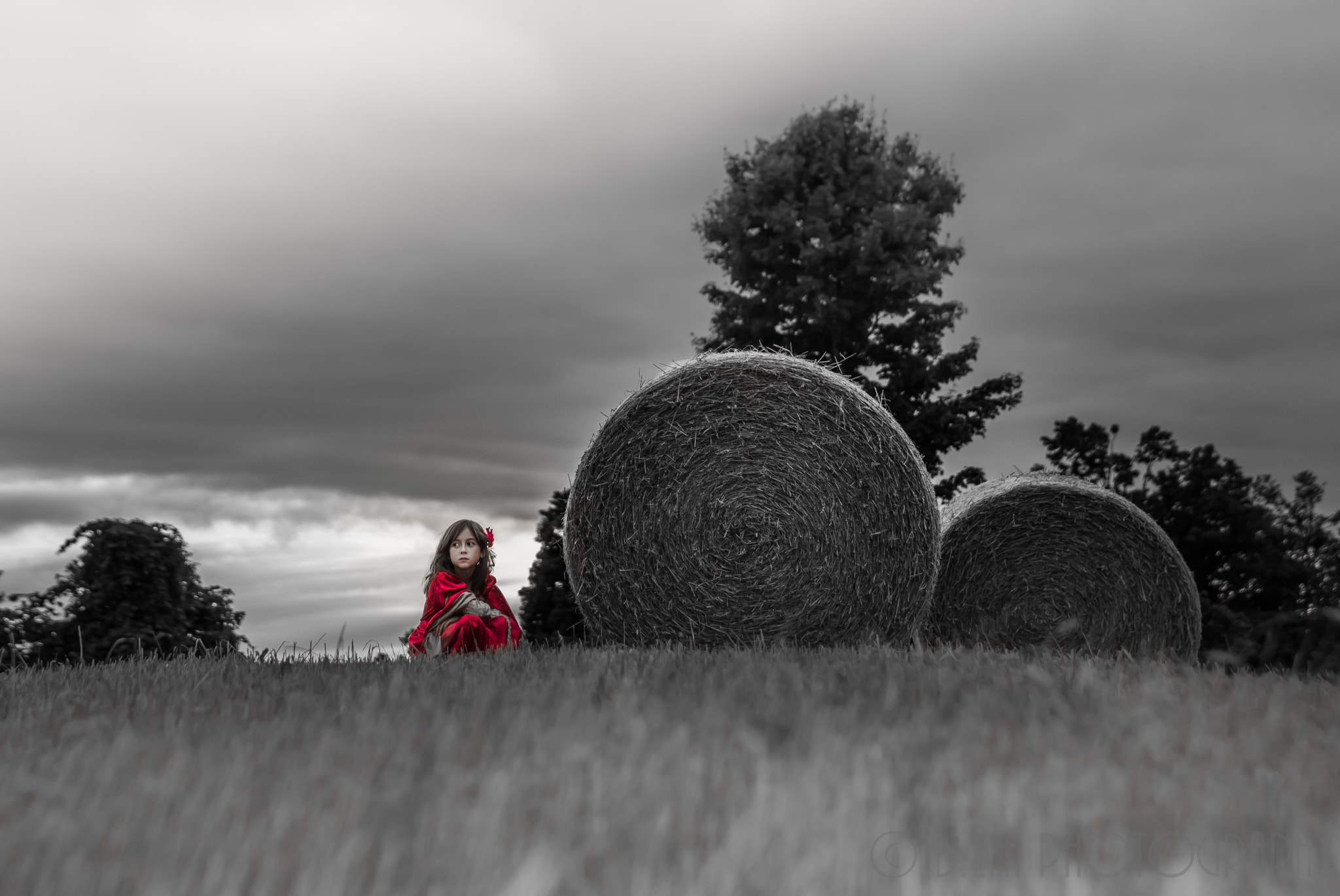 Canon EF 70-200mm F4L IS USM sample photo. Beauty and the bale photography