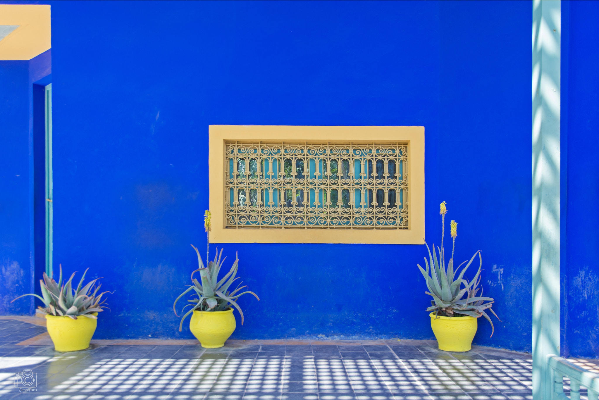 Nikon D7100 sample photo. Le jardin majorelle photography