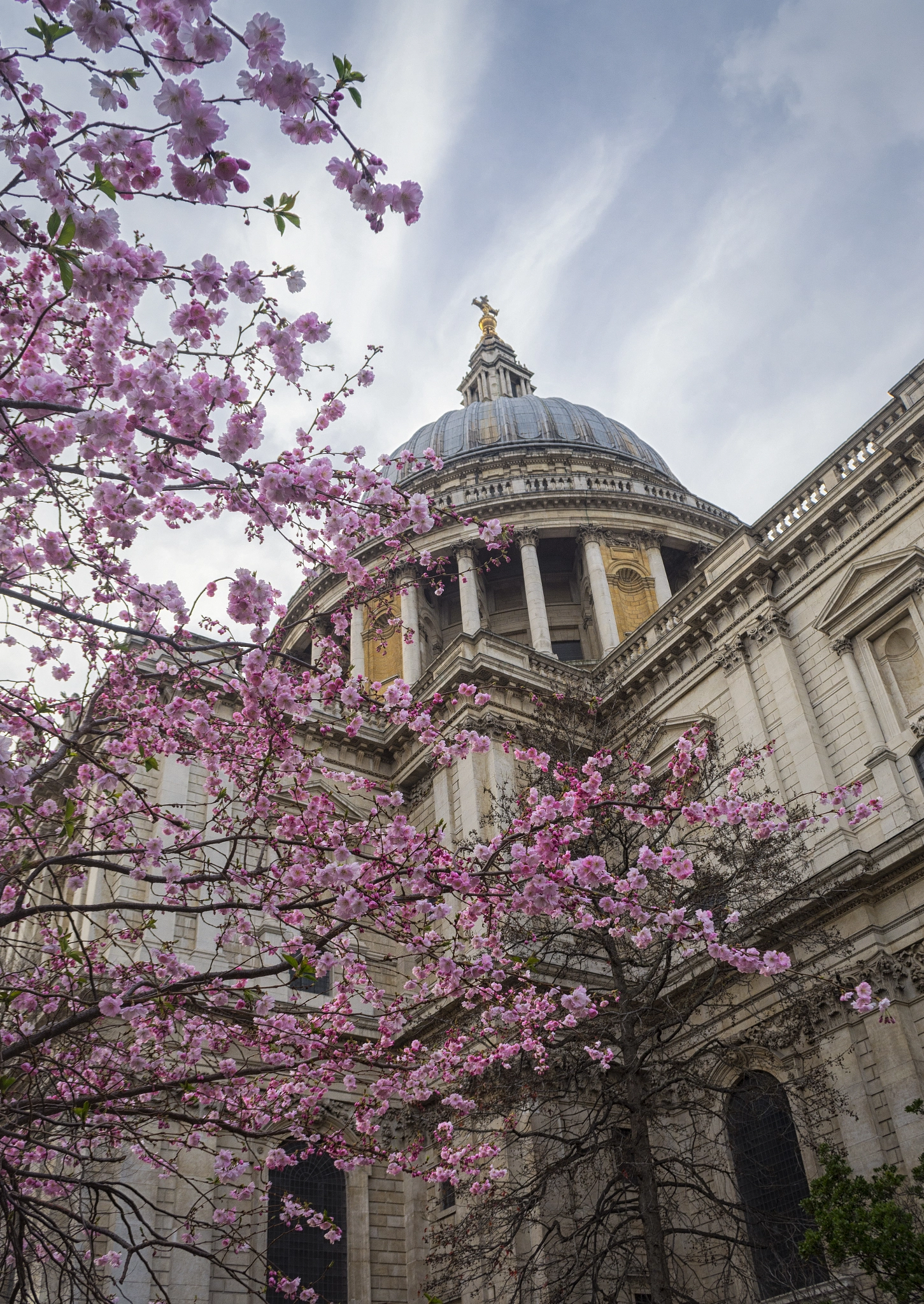 Nikon D7100 sample photo. St paul's in spring photography