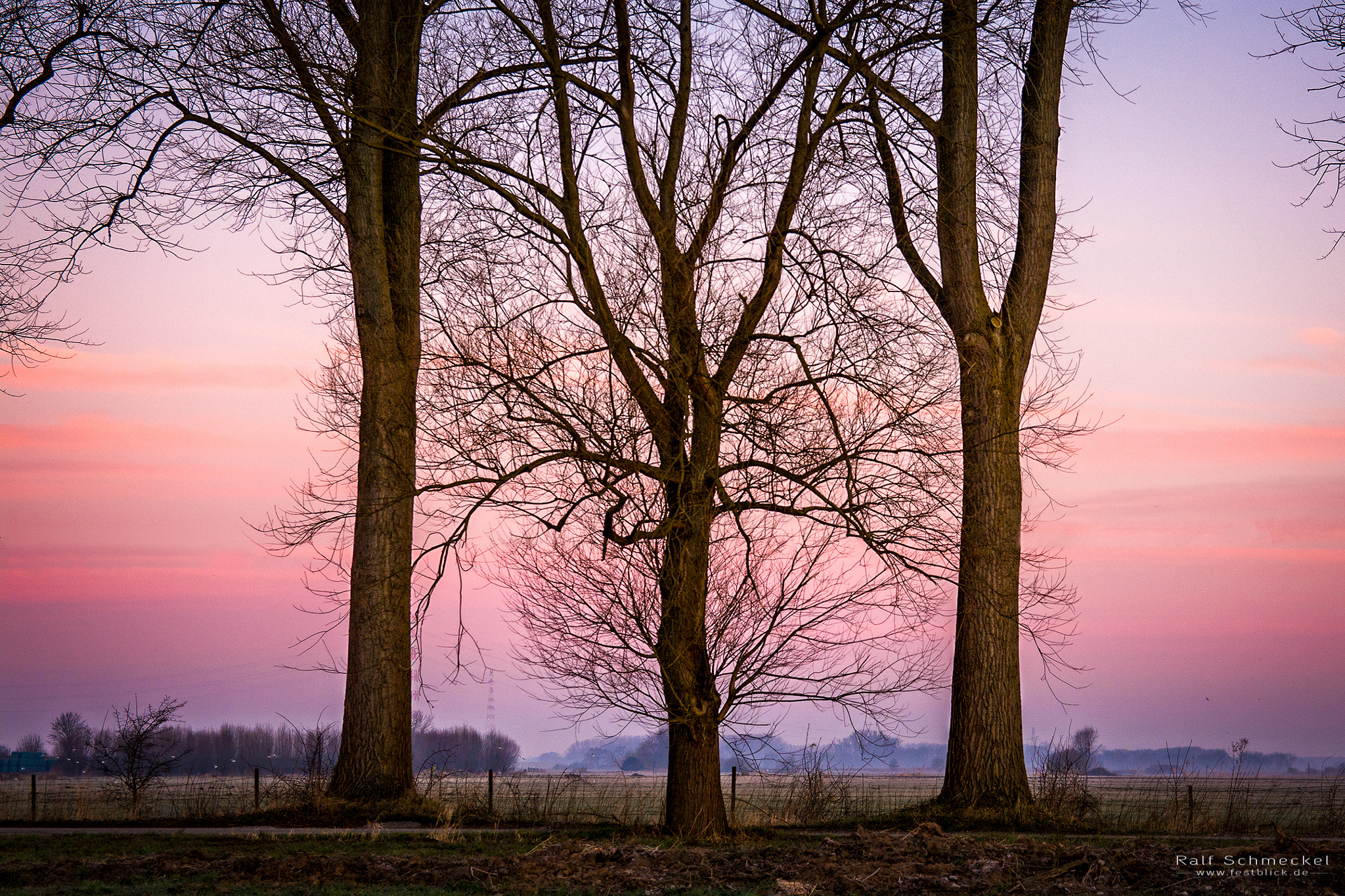 Sigma 17-50mm F2.8 EX DC OS HSM sample photo. A family that grows together, stays together... photography