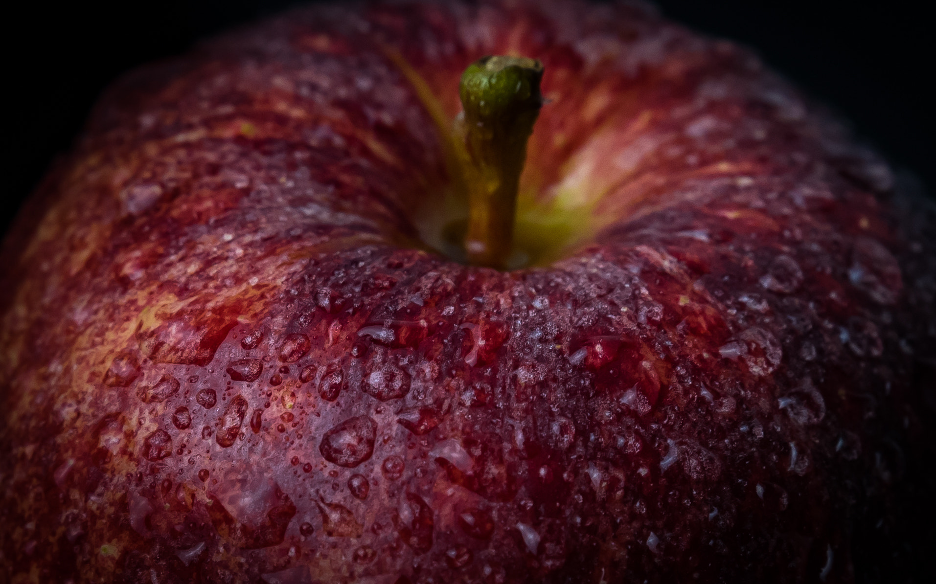 Tamron SP 24-70mm F2.8 Di VC USD sample photo. Red apple against black background photography