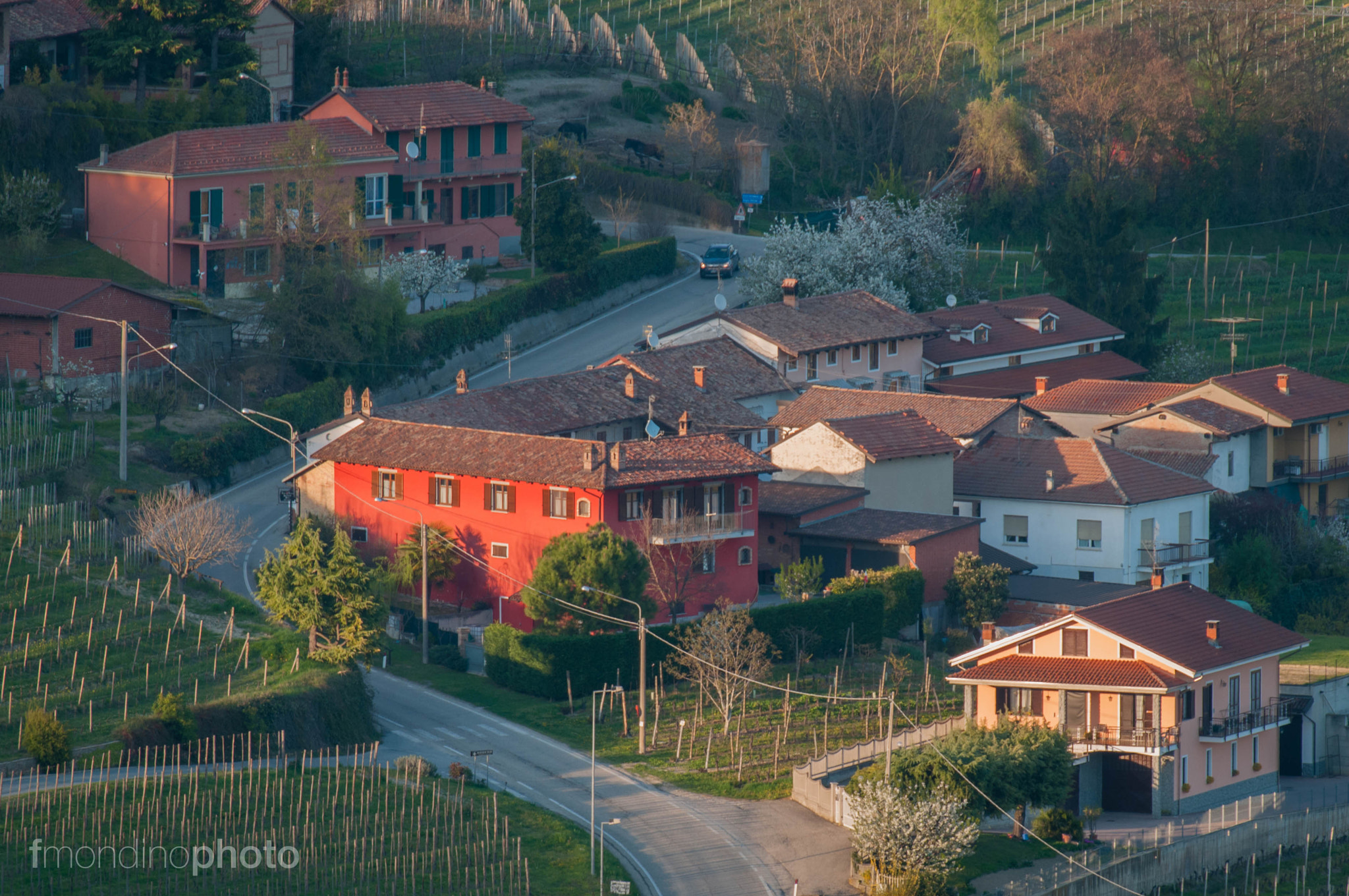 Nikon D300 sample photo. Az. alessandria wines photography