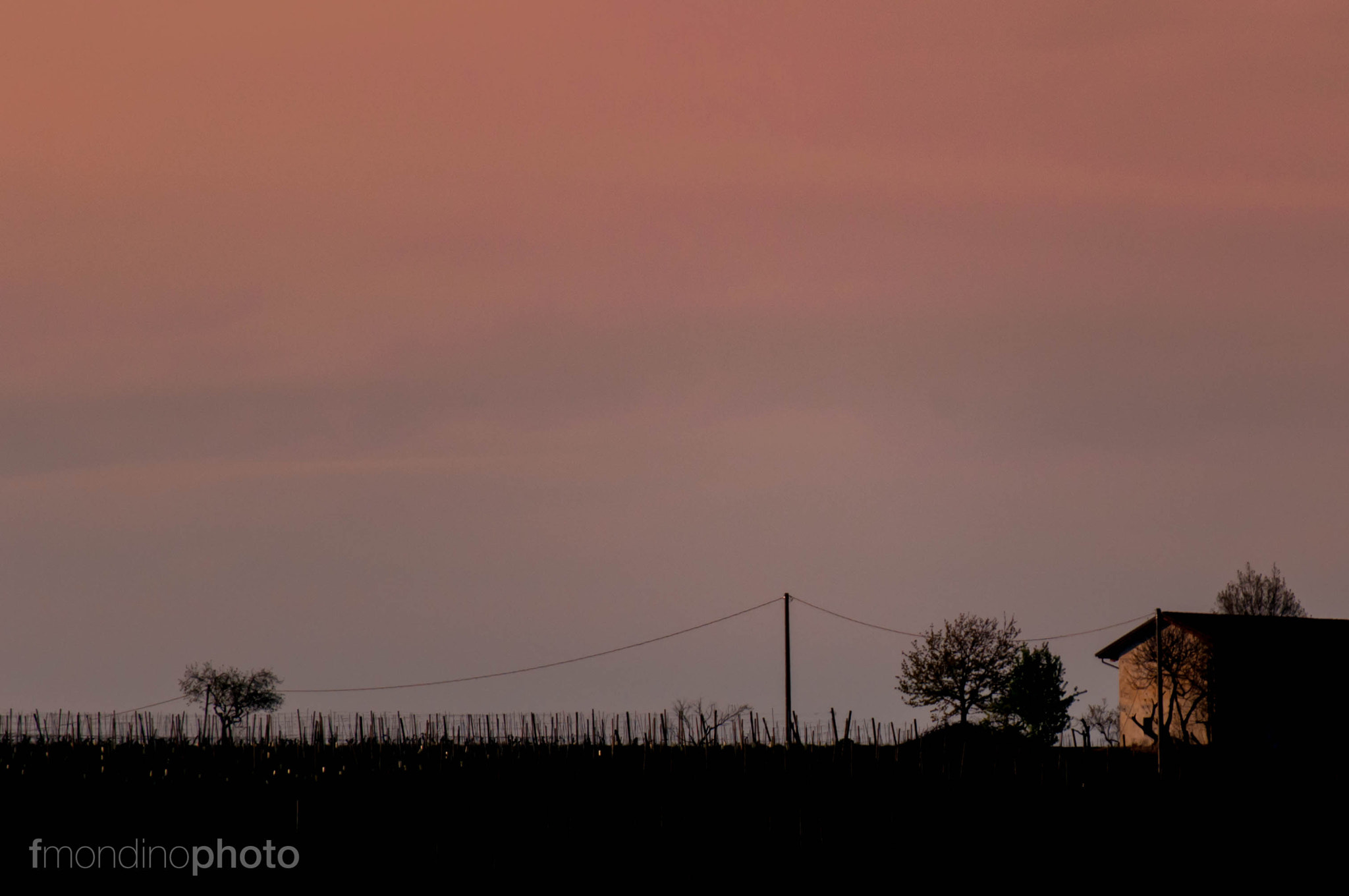 Nikon D300 sample photo. Wine - sunset photography