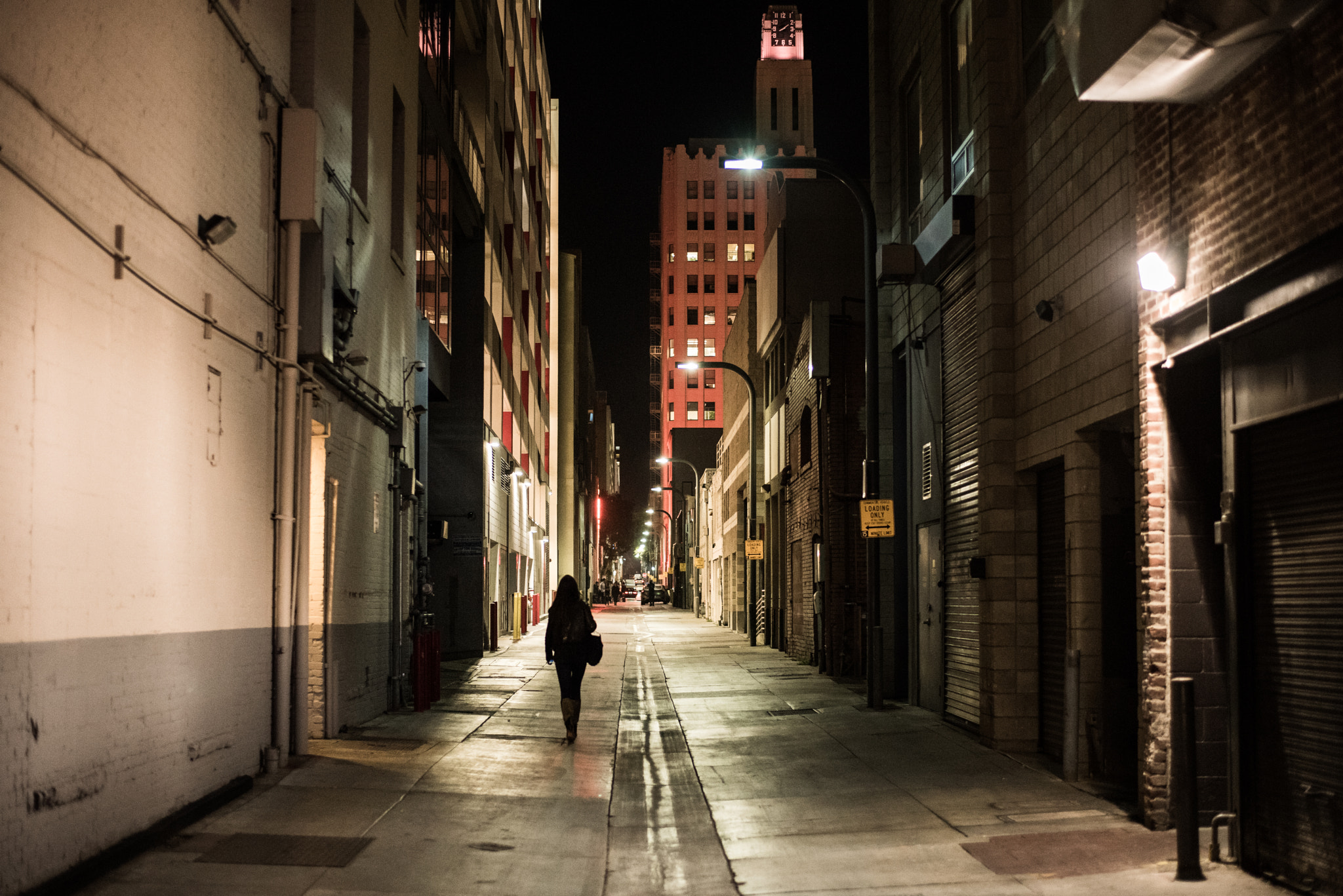 Nikon D810 sample photo. La alley photography