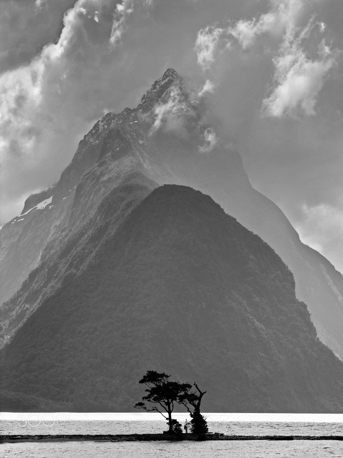 Olympus C8080WZ sample photo. Mitre peak tree photography