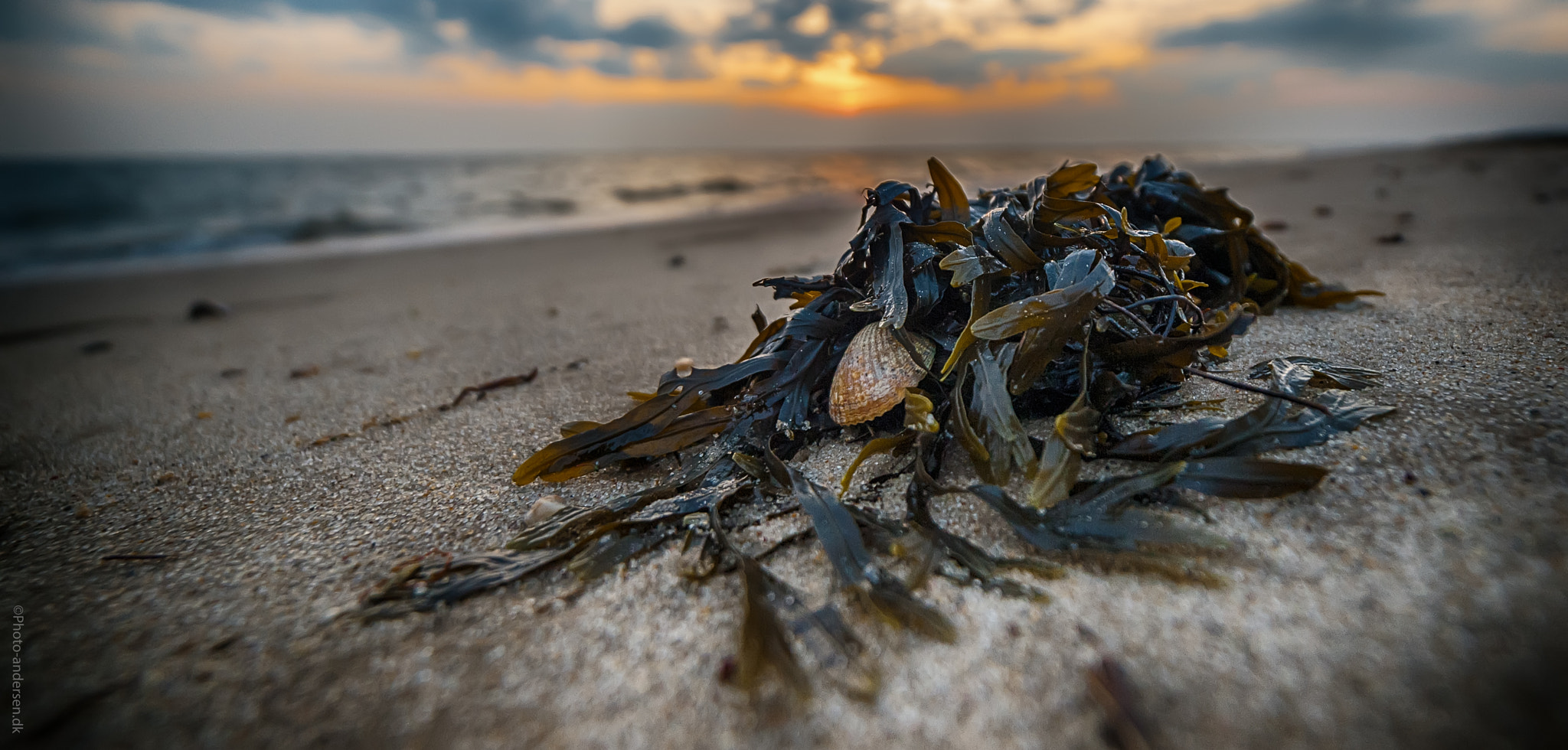 Nikon D3 sample photo. Sunset over sædding, esbjerg, denmark. photography