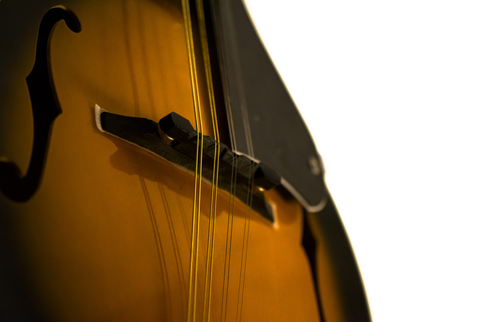 Nikon AF-S Micro-Nikkor 105mm F2.8G IF-ED VR sample photo. Guitar photography