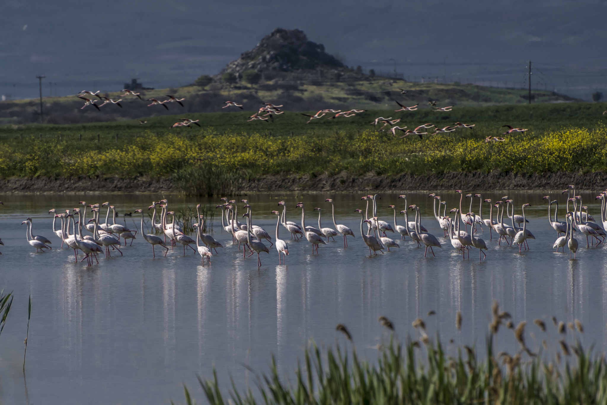 Nikon D7200 sample photo. Eco-paradise. (lake karla, thessaly, greece) photography