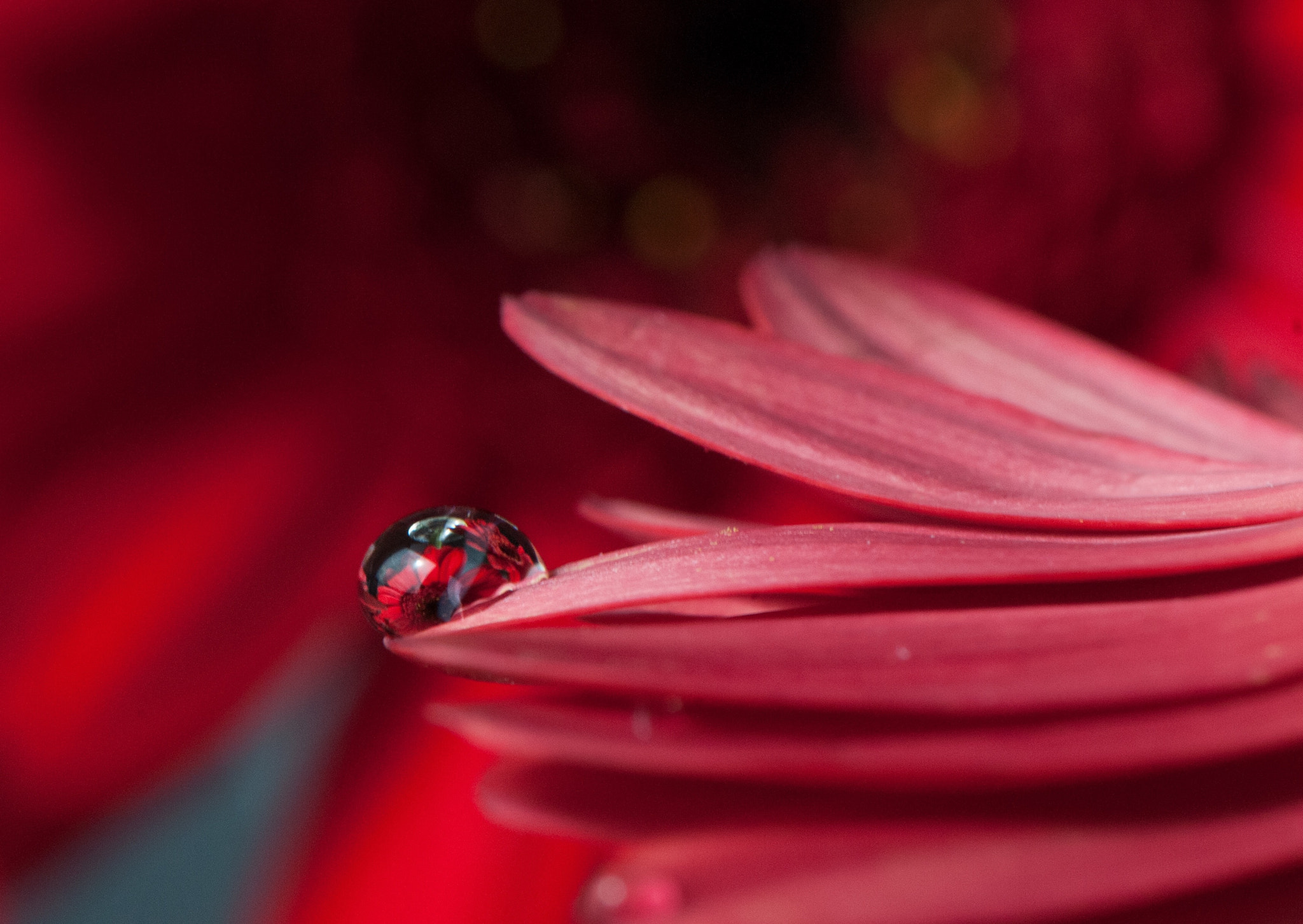 Nikon AF-S Micro-Nikkor 105mm F2.8G IF-ED VR sample photo. Alternative photography