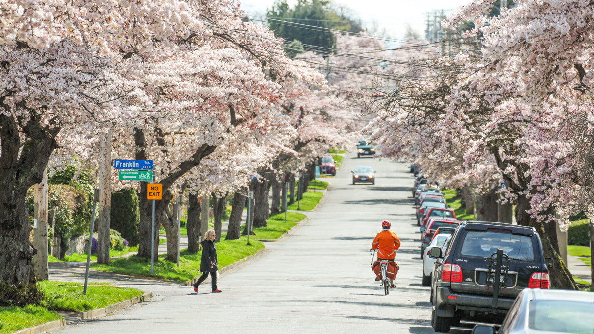Canon EF 70-300mm F4-5.6L IS USM sample photo. Finally!! spring arrived!!! photography