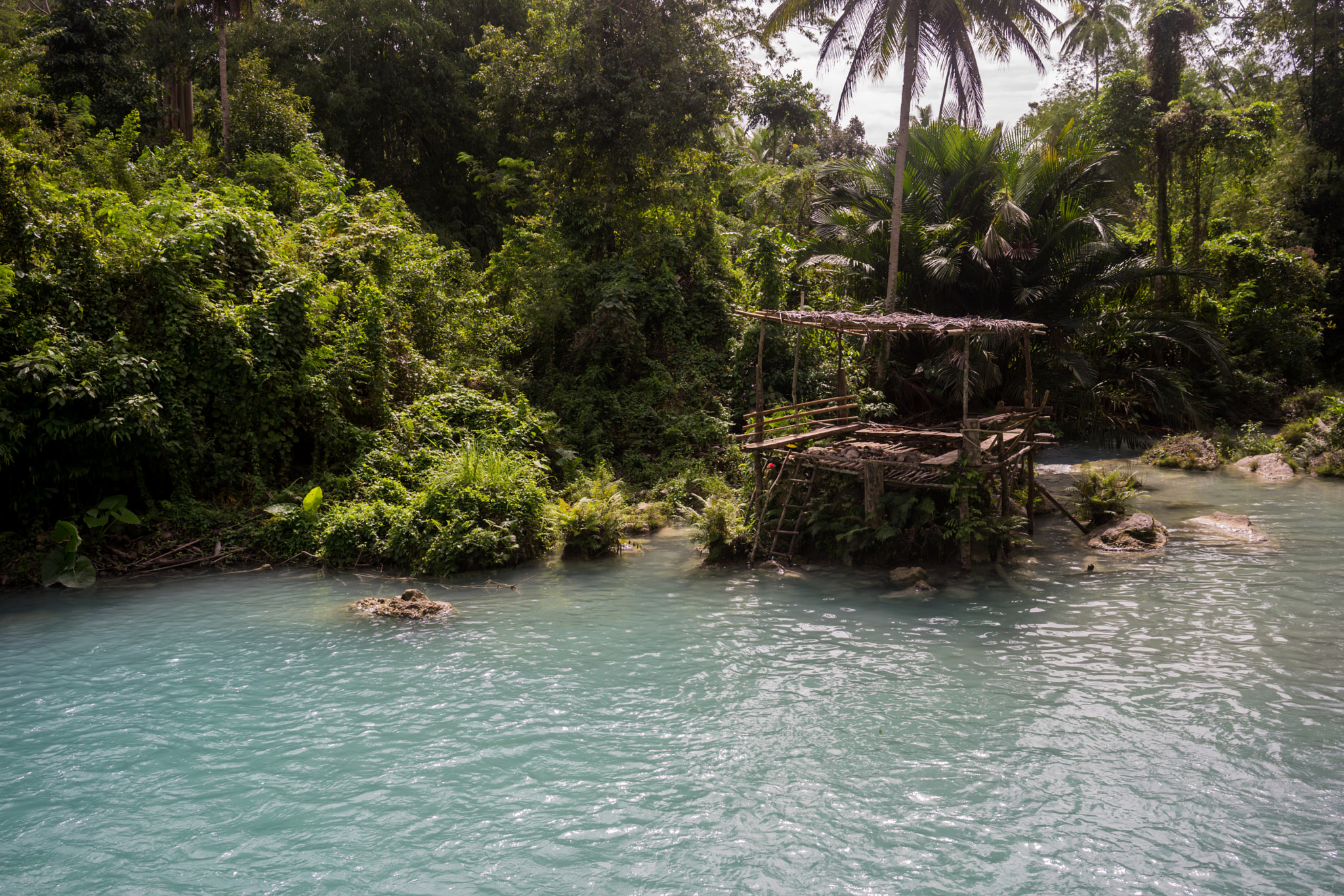 Sony a7 II + Sony Sonnar T* FE 35mm F2.8 ZA sample photo. A good spot in the jungle photography