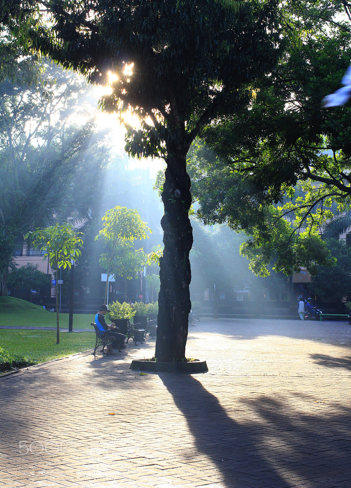 Canon EOS 60D + Canon EF 40mm F2.8 STM sample photo. Enjoying photography