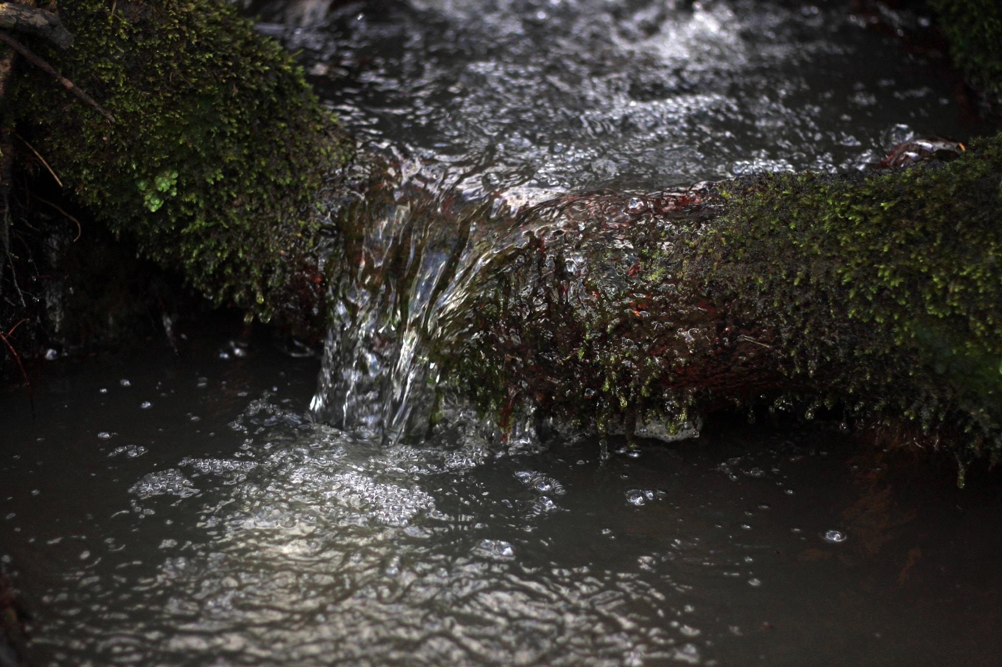 Canon EOS 500D (EOS Rebel T1i / EOS Kiss X3) + Canon EF 50mm F1.8 STM sample photo. Waterfall photography