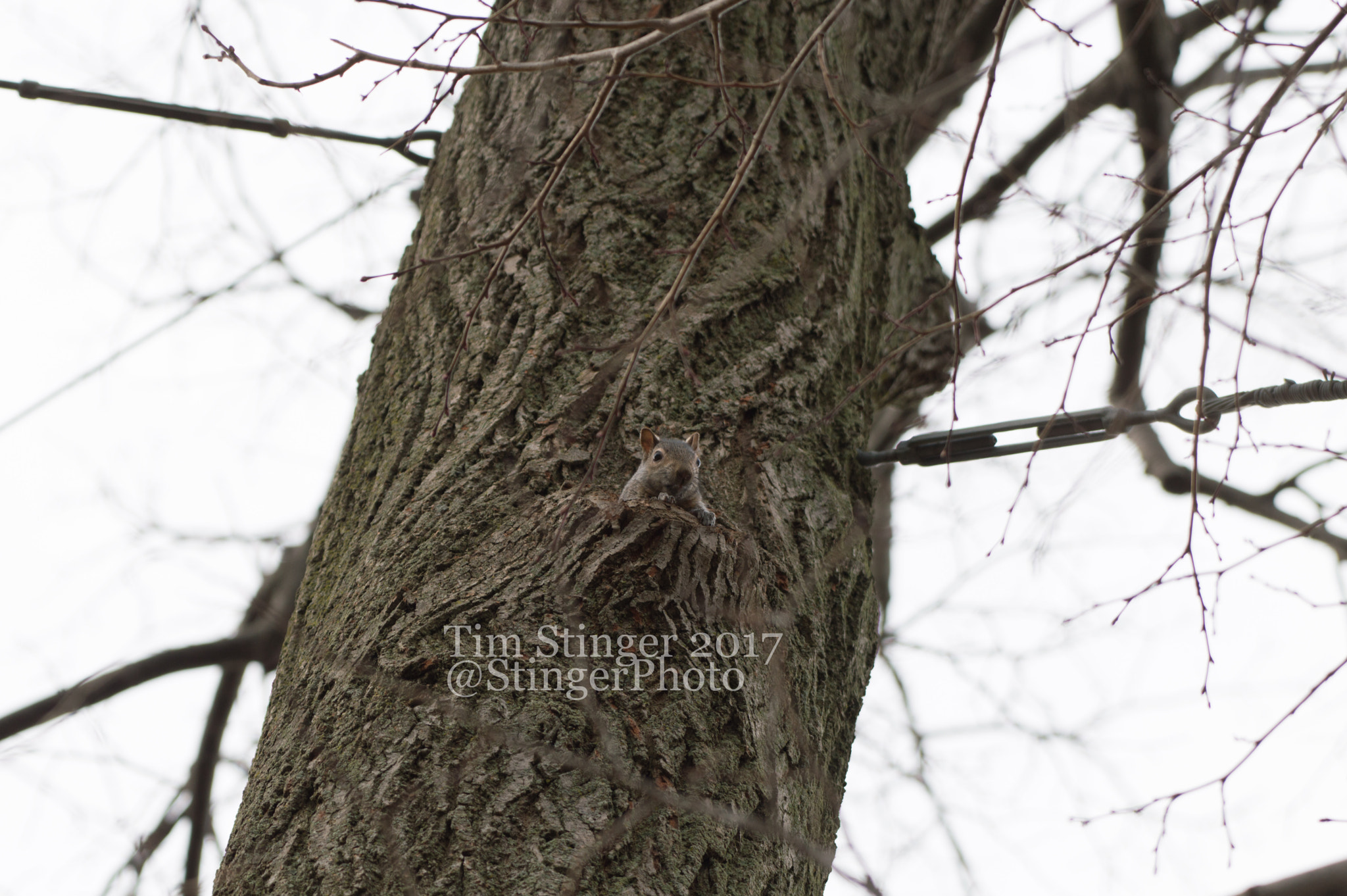 Nikon AF-S Nikkor 200-500mm F5.6E ED VR sample photo. Is it safe to come out? photography