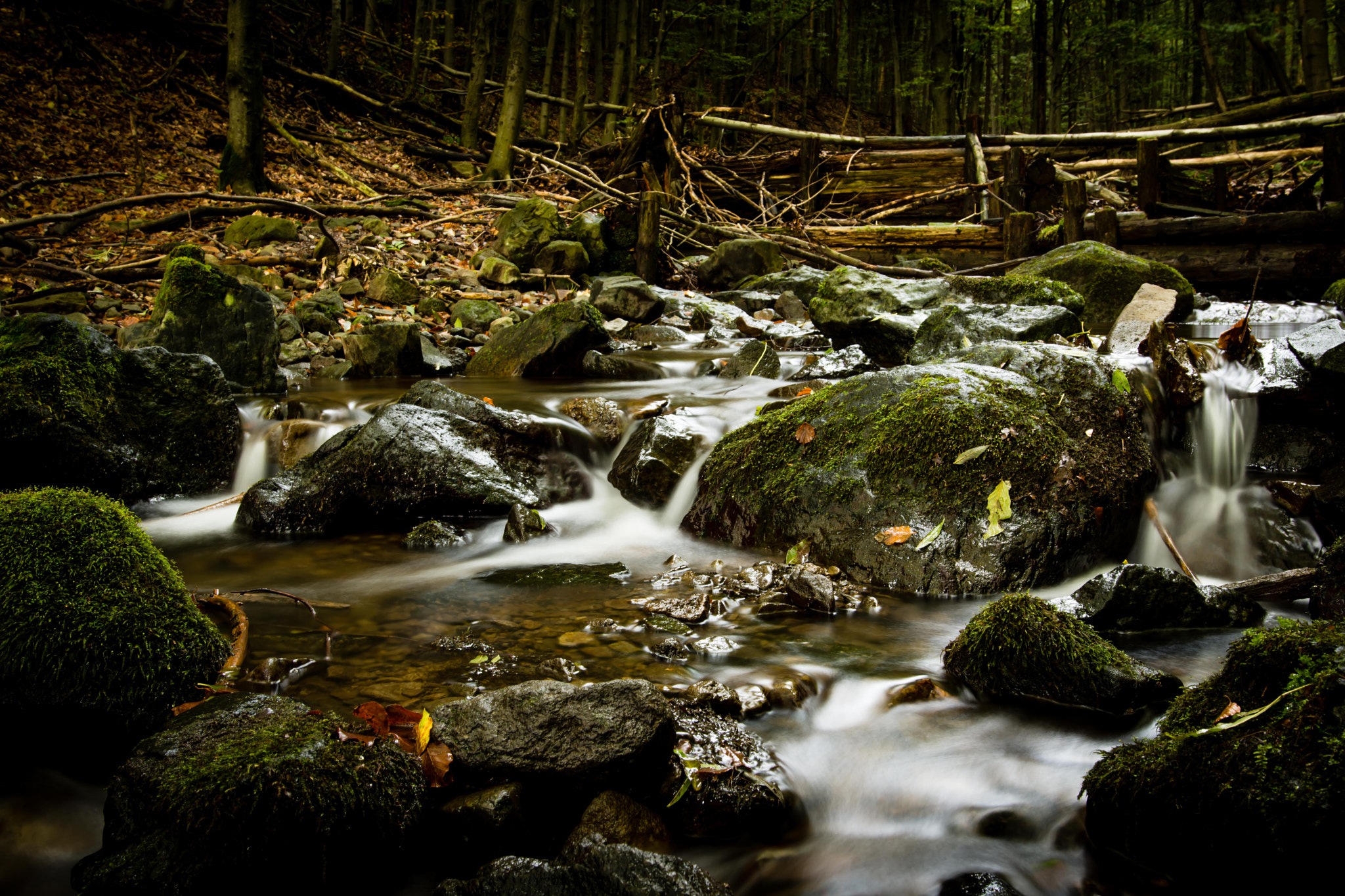 Nikon D7200 + Sigma 18-35mm F1.8 DC HSM Art sample photo. Just mini river photography