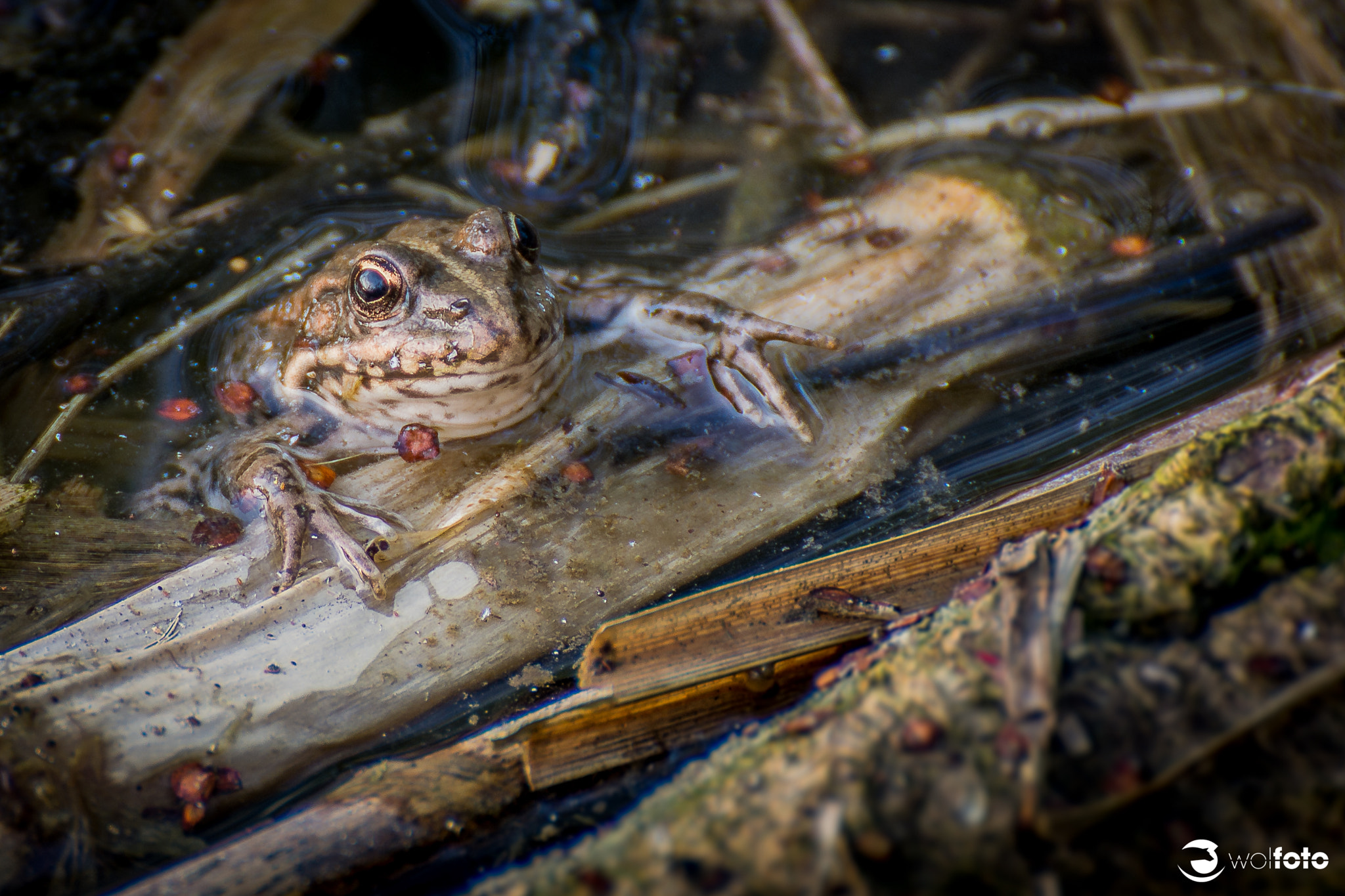 Nikon D7100 sample photo. What's going on? photography