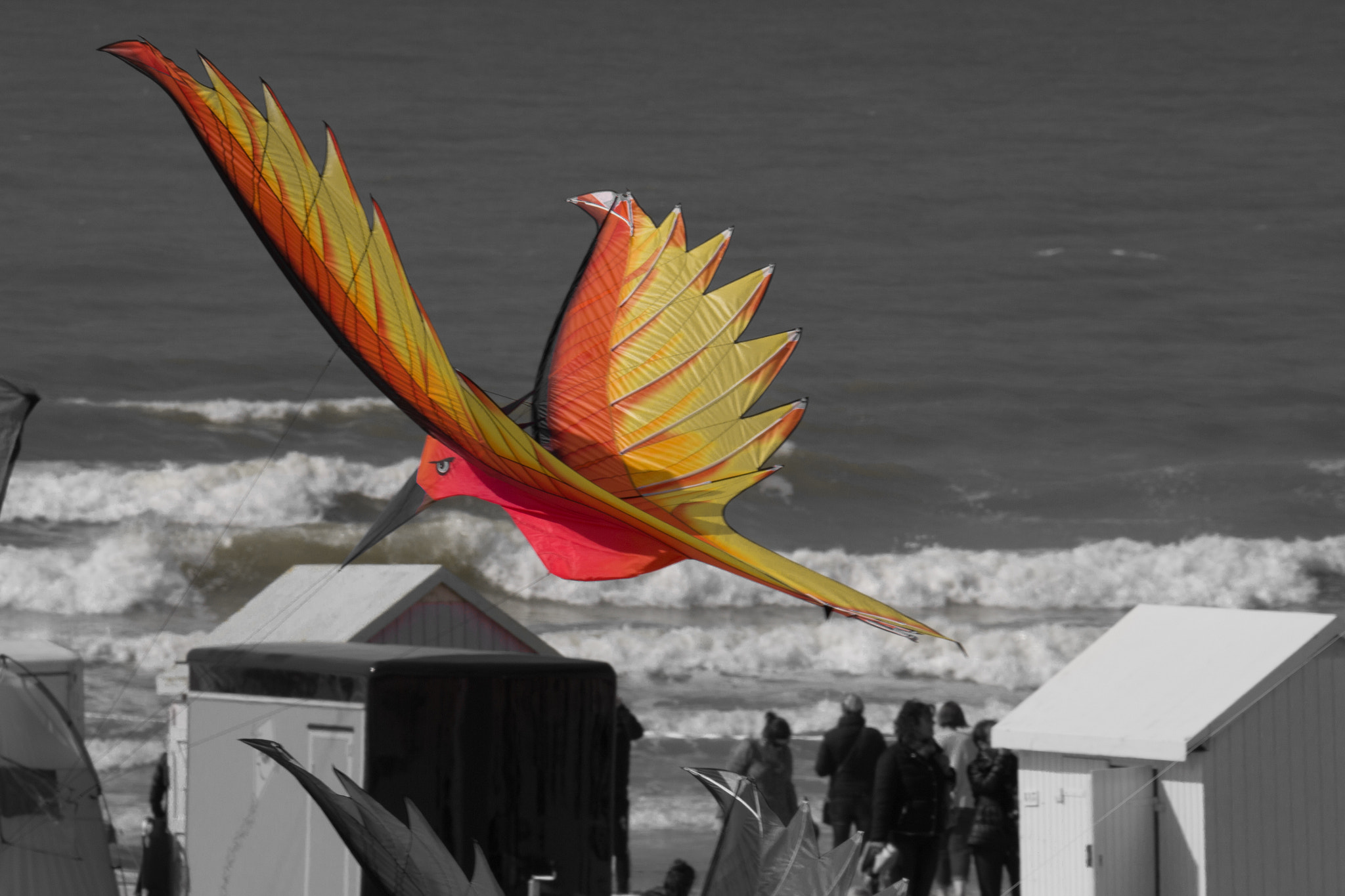 Tamron SP 150-600mm F5-6.3 Di VC USD sample photo. Moltres (pokemon) photography