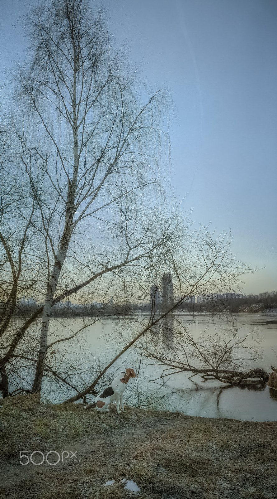 Canon EOS 6D sample photo. Morning walk along the river moskva photography
