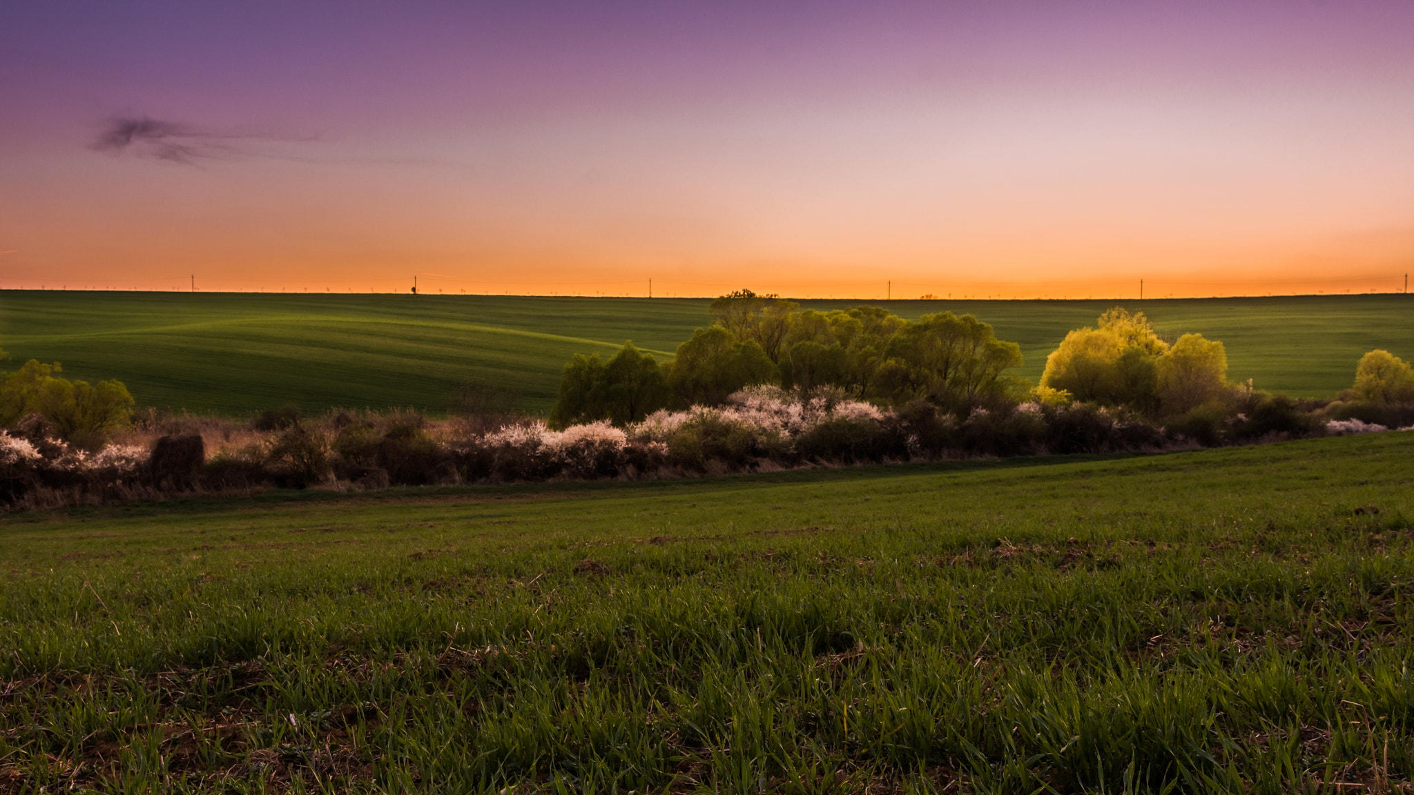 Nikon D7200 + Sigma 18-35mm F1.8 DC HSM Art sample photo. Nature before sleep photography