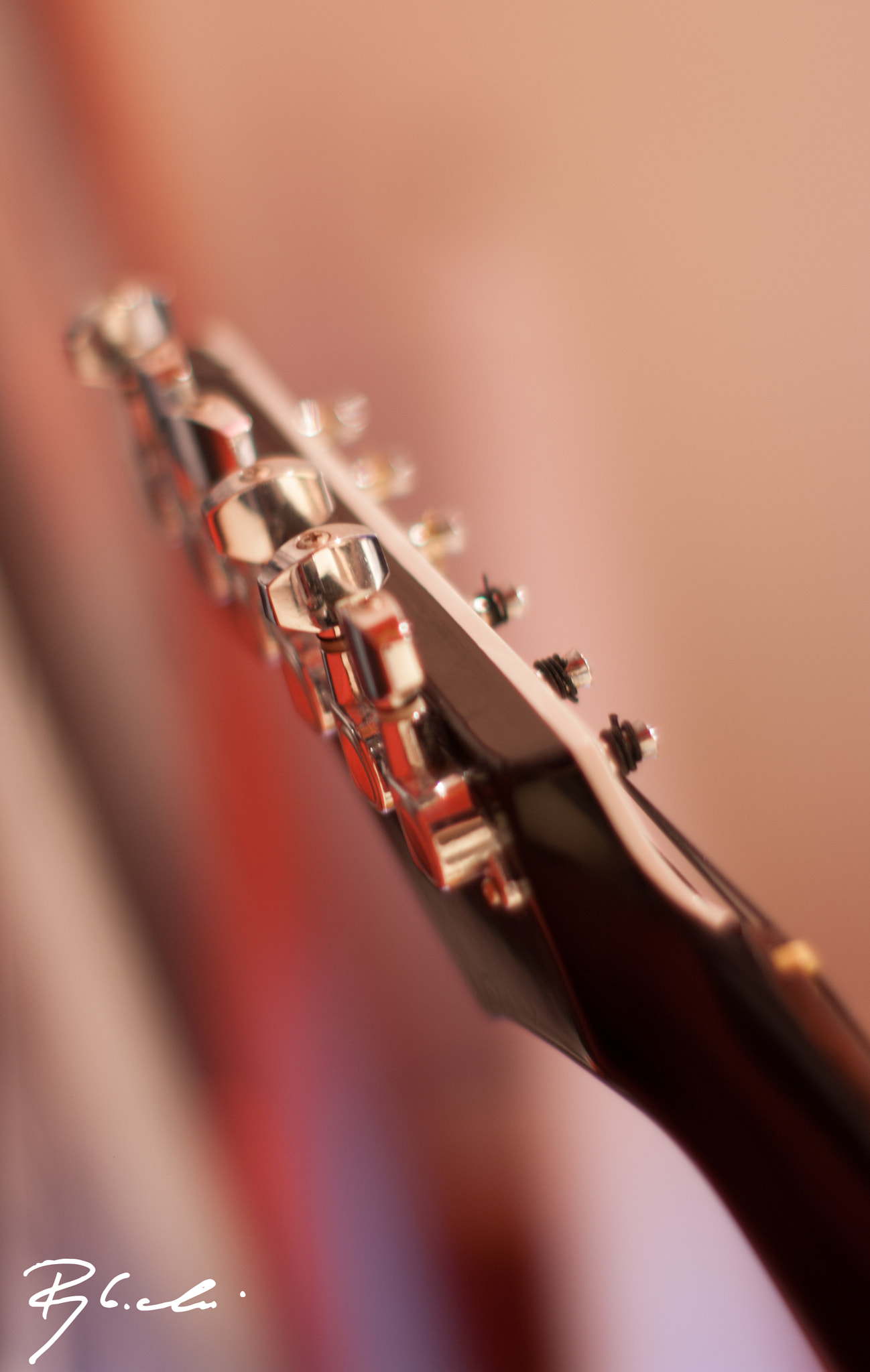 Sony 50mm F1.4 sample photo. Skull strat photography