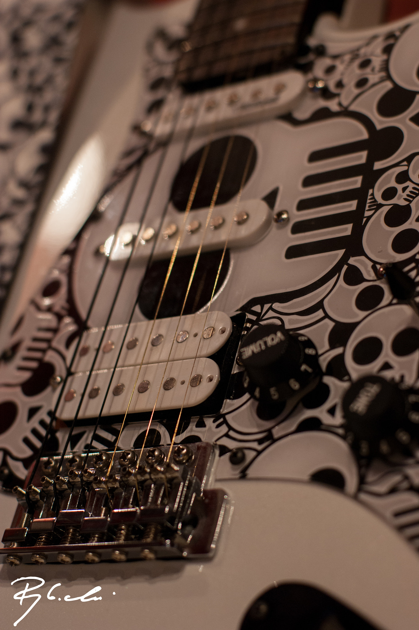 Sony Alpha DSLR-A350 + Sony 50mm F1.4 sample photo. Skull strat photography