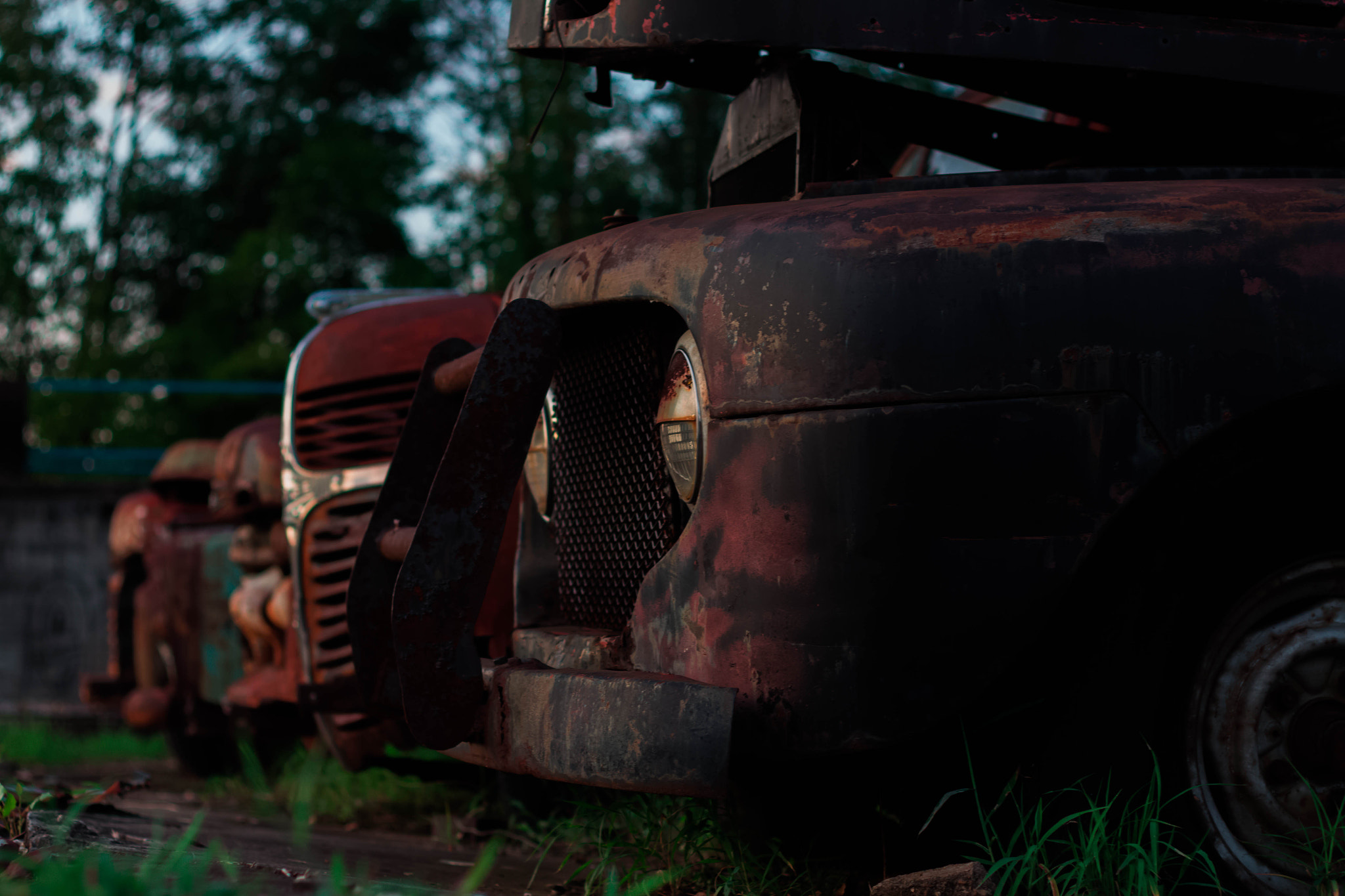 Canon EF 50mm F1.8 II sample photo. I am new to this!! photography