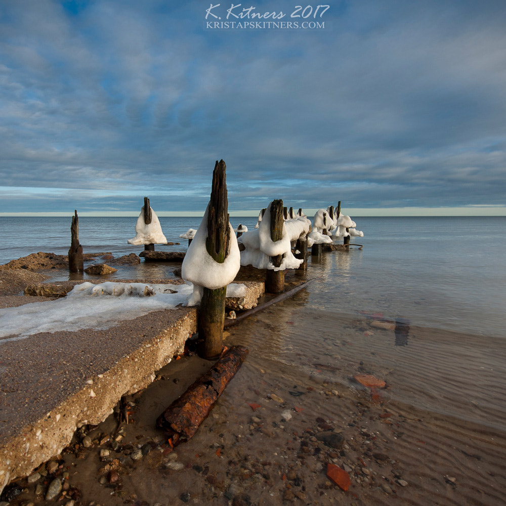 Nikon AF-S Nikkor 14-24mm F2.8G ED sample photo. The winter guards photography
