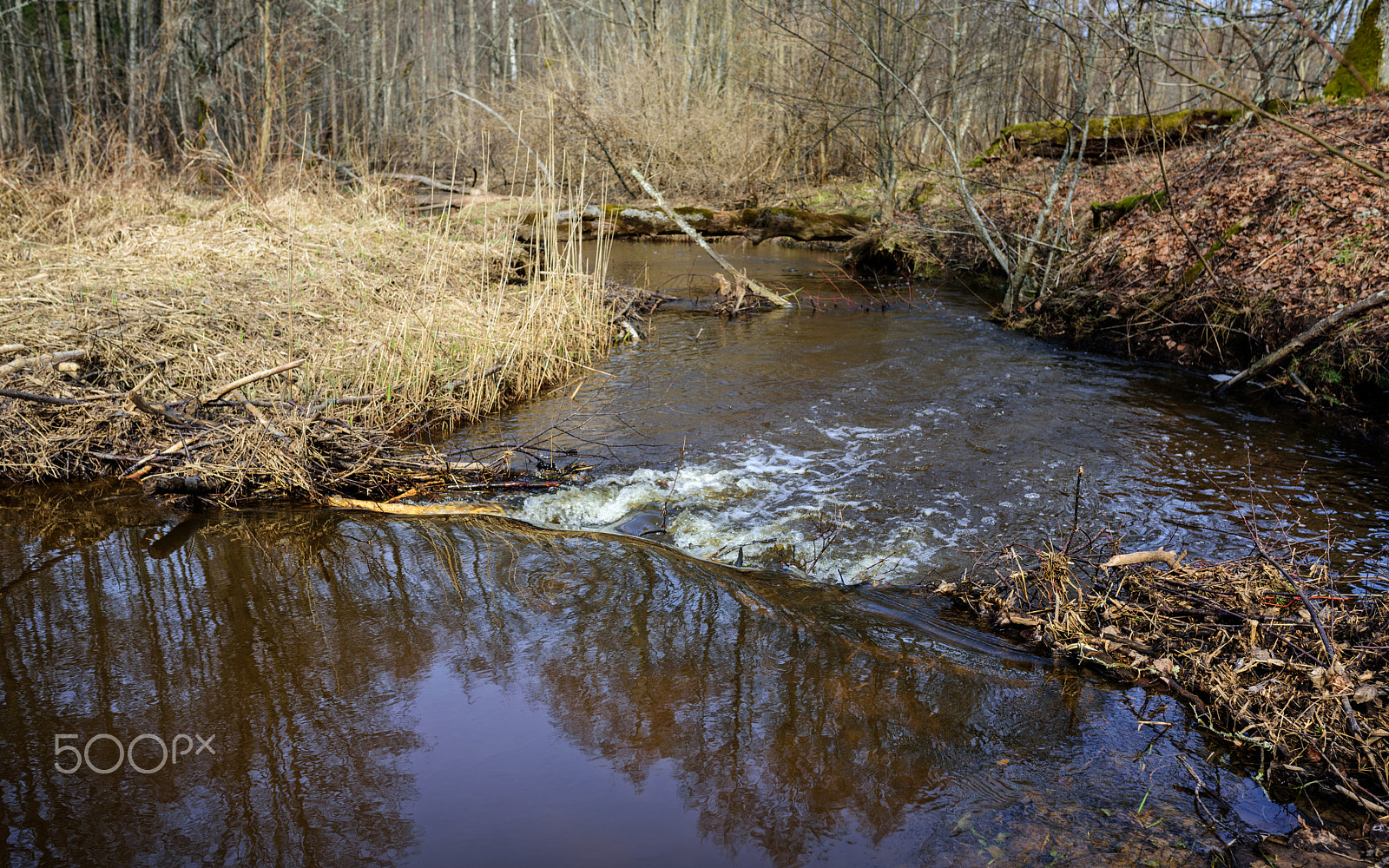 Nikon D810 + Sigma 35mm F1.4 DG HSM Art sample photo. Spring landscape - the forest small river photography