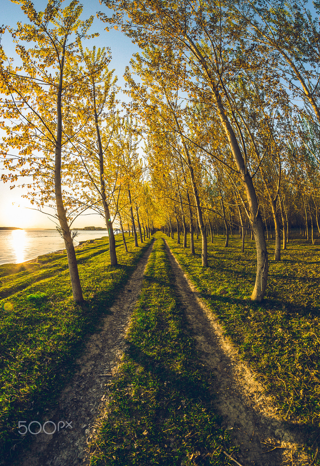 Samyang 8mm F3.5 Aspherical IF MC Fisheye sample photo. Exploring spring colors photography