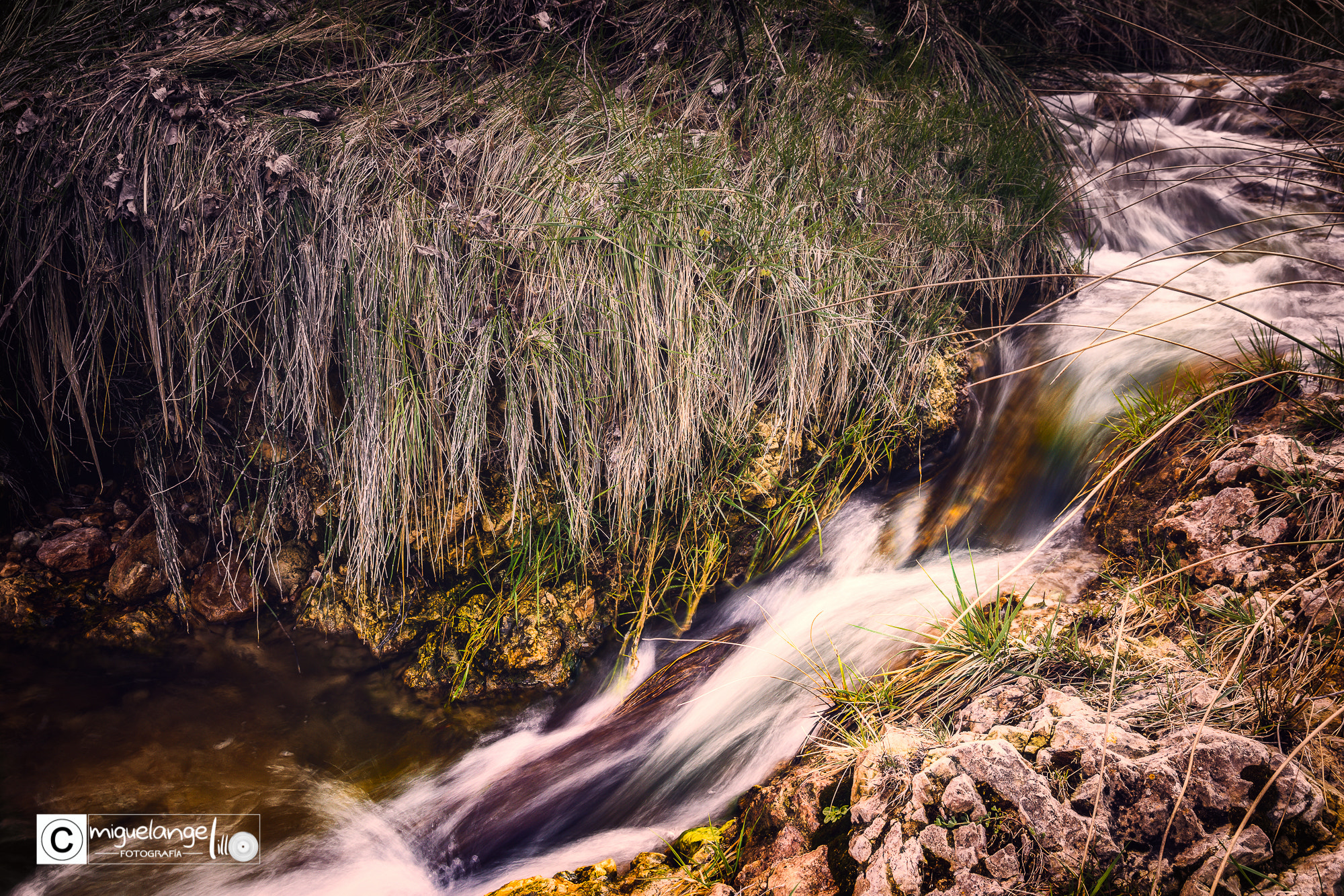 Nikon D7200 sample photo. Riachuelos pequeños forman grandes rios photography