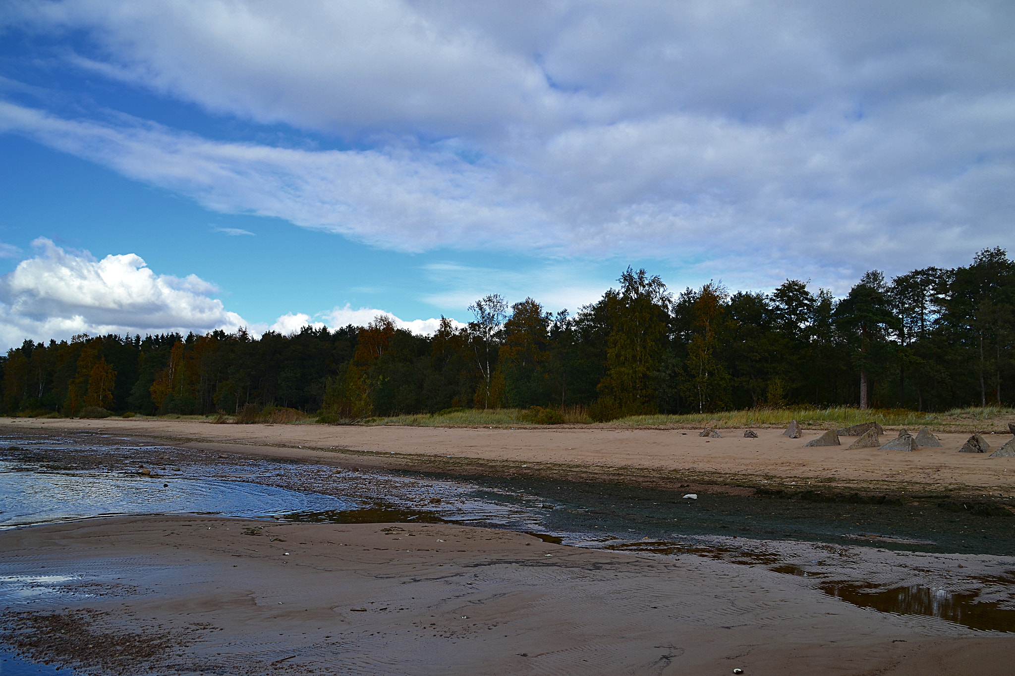 Nikon D3100 sample photo. Looking at the coast photography