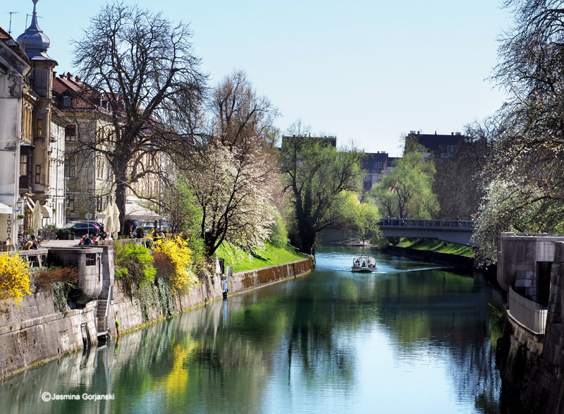 Olympus OM-D E-M1 Mark II sample photo. Spring on the river photography