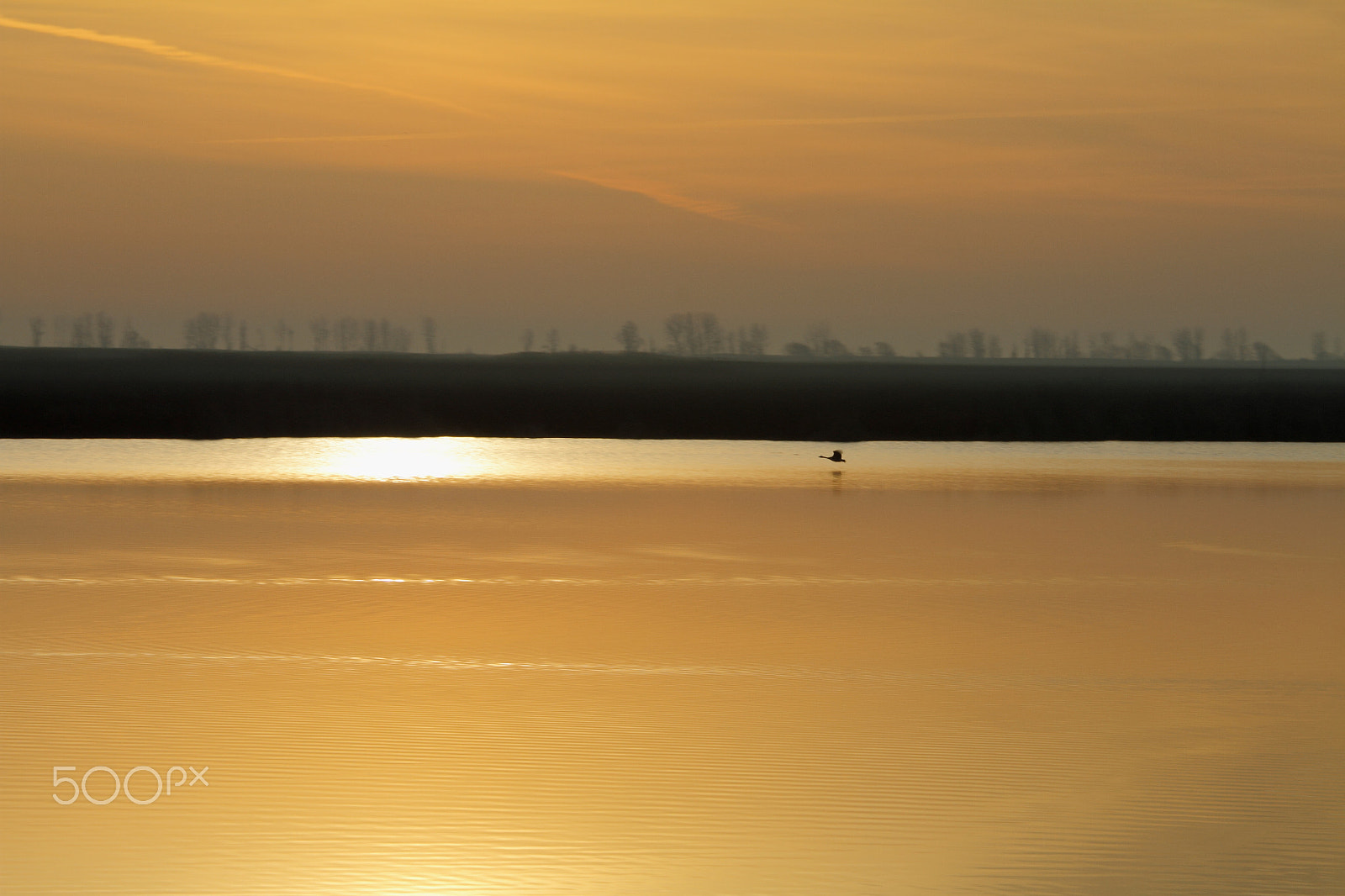 Canon EOS 7D + Canon EF 70-200mm F4L IS USM sample photo. Morning flieght photography