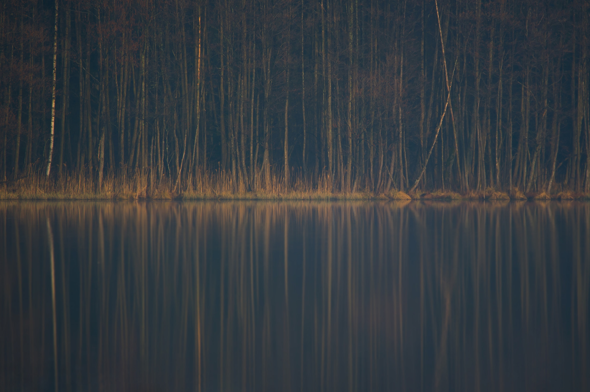 Nikon D700 sample photo. Lake krawienko photography