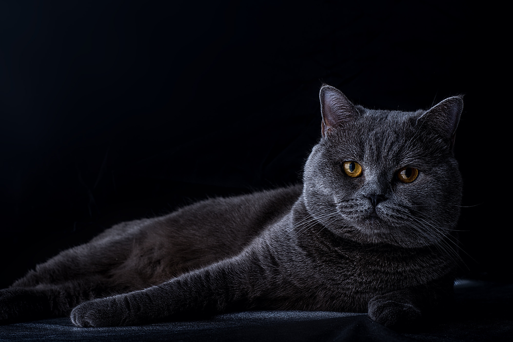 Nikon AF Nikkor 50mm F1.8D sample photo. 50 shades of grey and more photography
