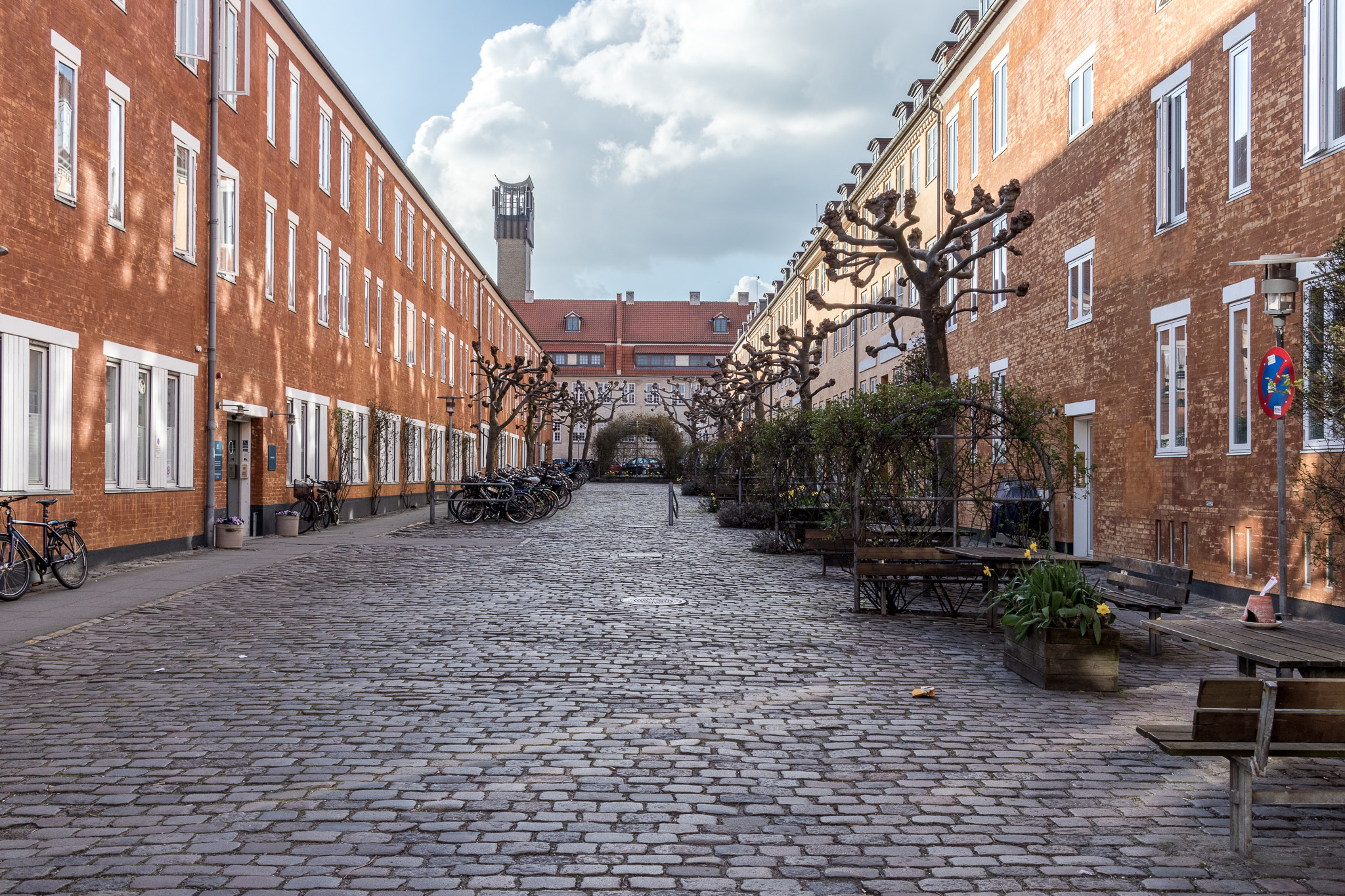 Canon EF-M 22mm F2 STM sample photo. Rosengade photography